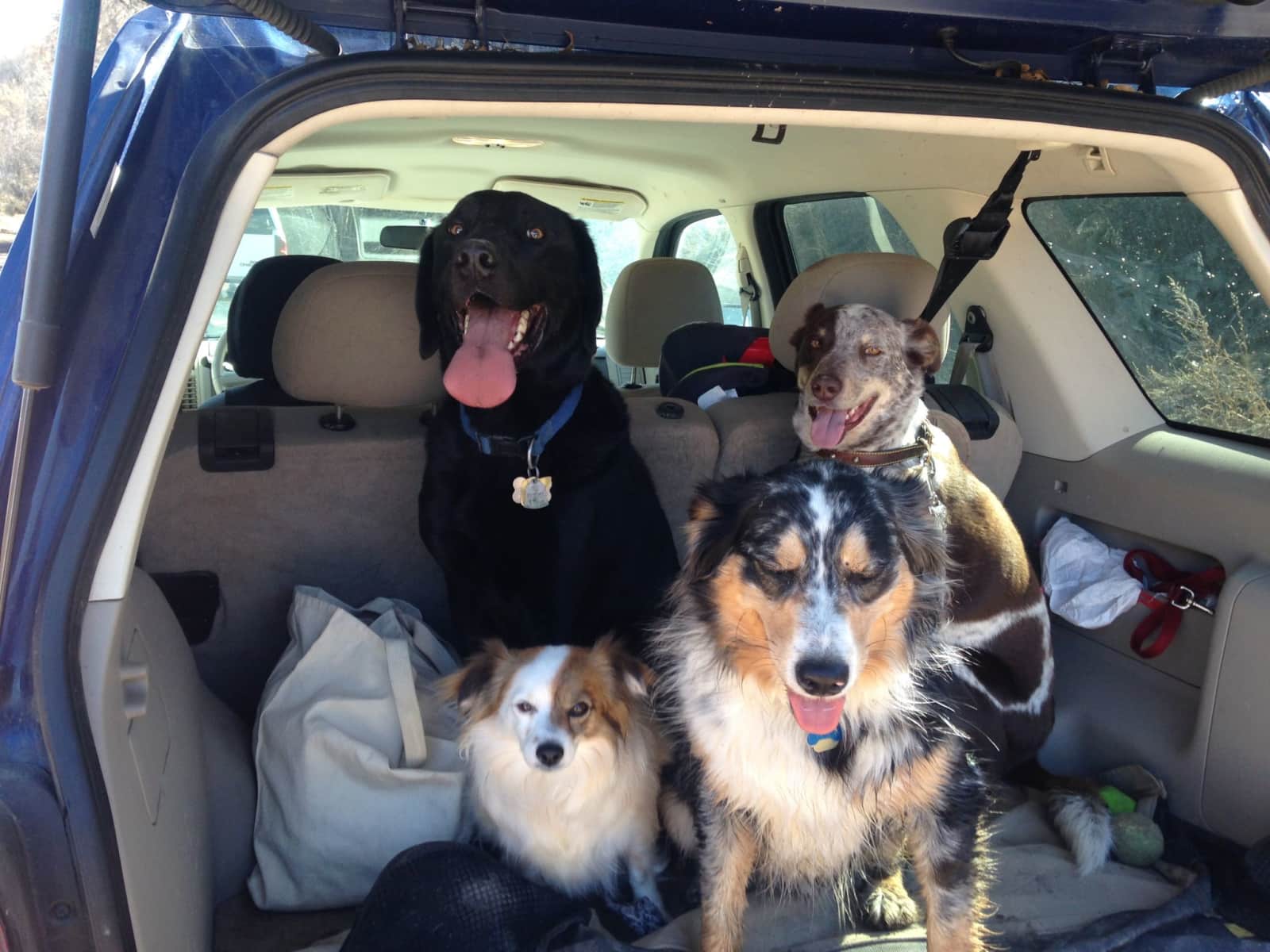 Meg & Jeffrey from Carbondale, Colorado, United States