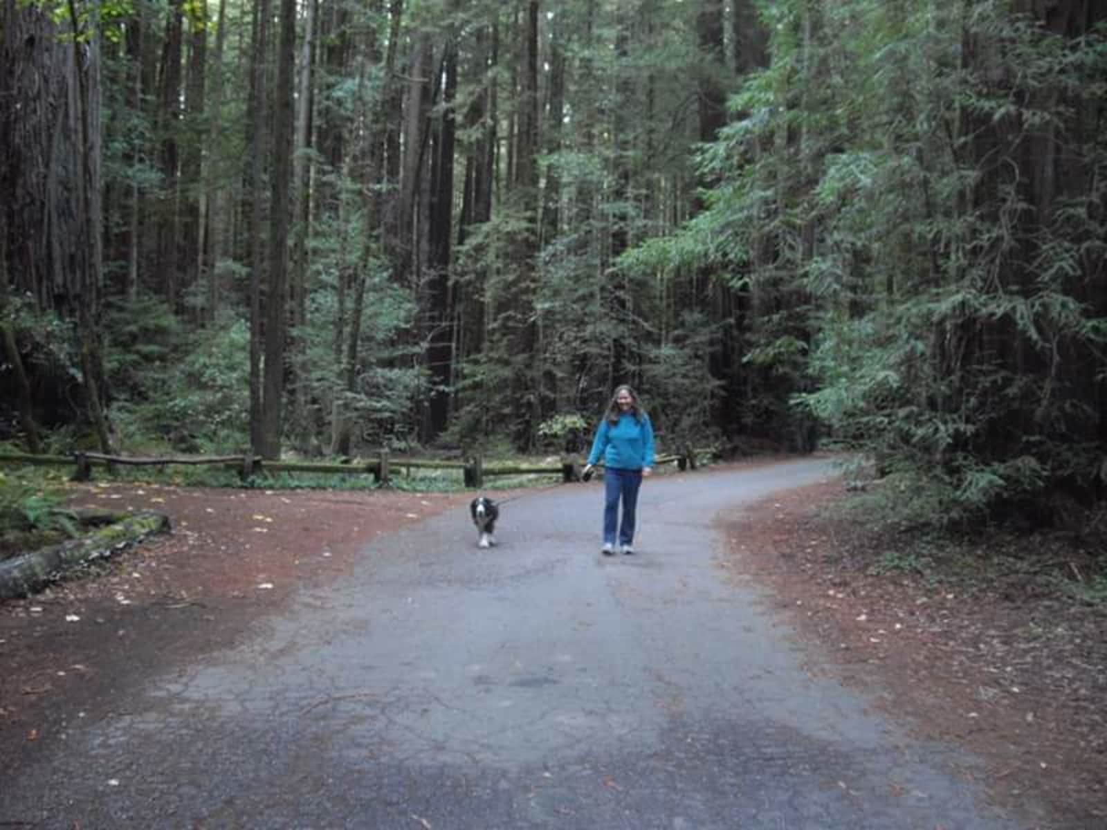 Sharon from Guerneville, California, United States