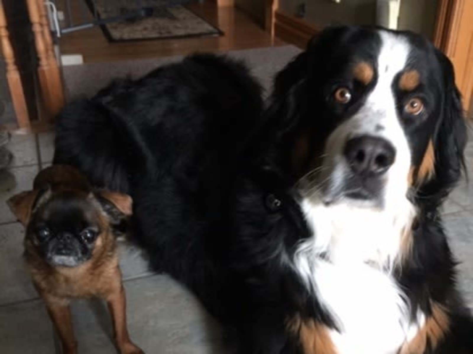 Ilene & John from Mount Forest, Ontario, Canada