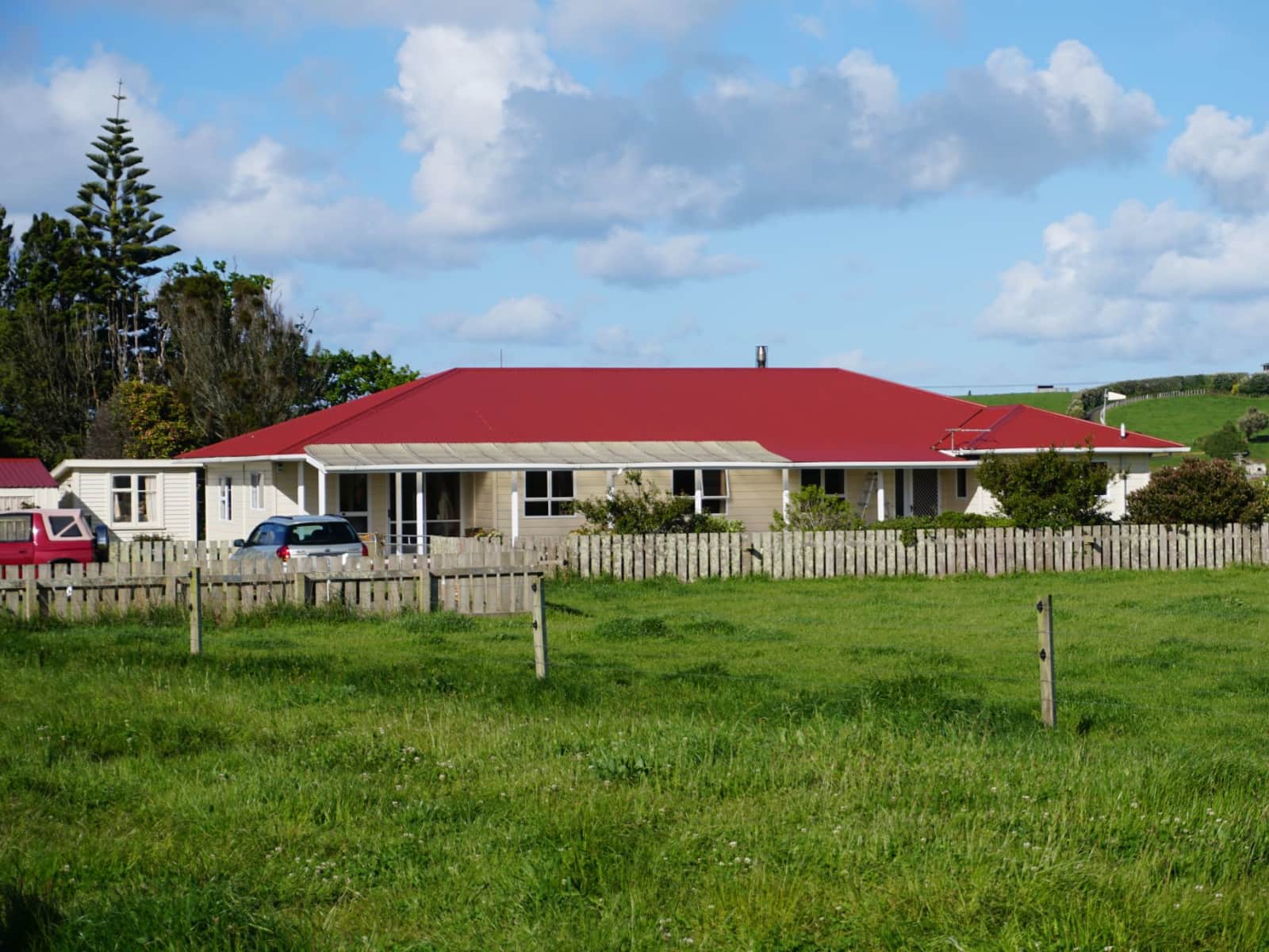 Housesitting assignment in Hawera, New Zealand