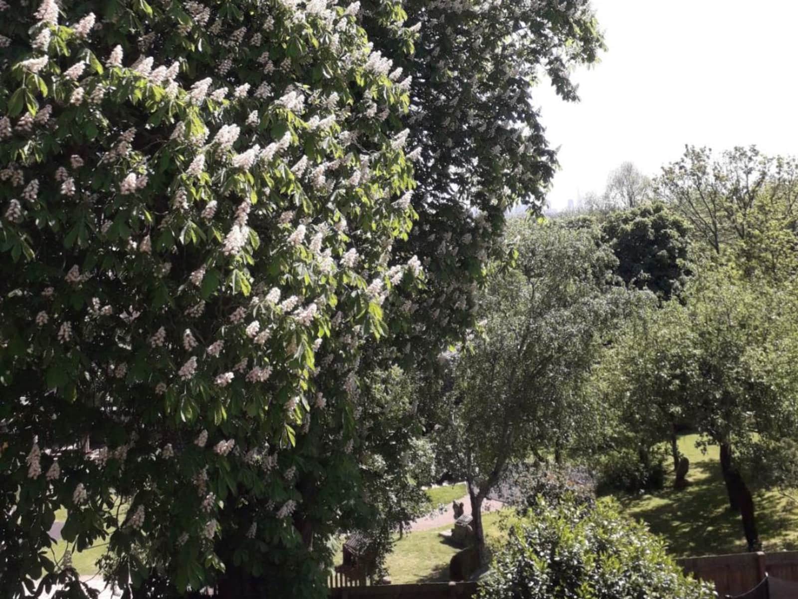 Housesitting assignment in London, United Kingdom