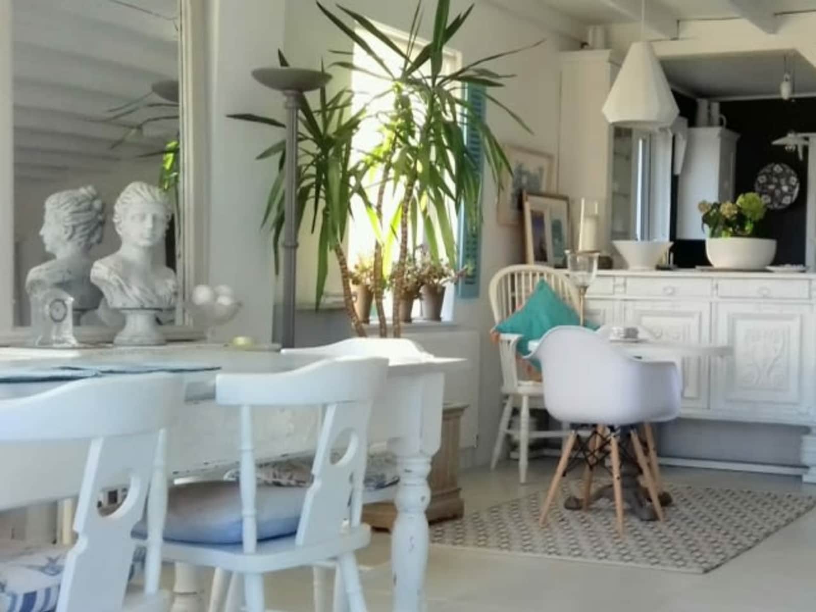 Housesitting assignment in Midleton, Ireland