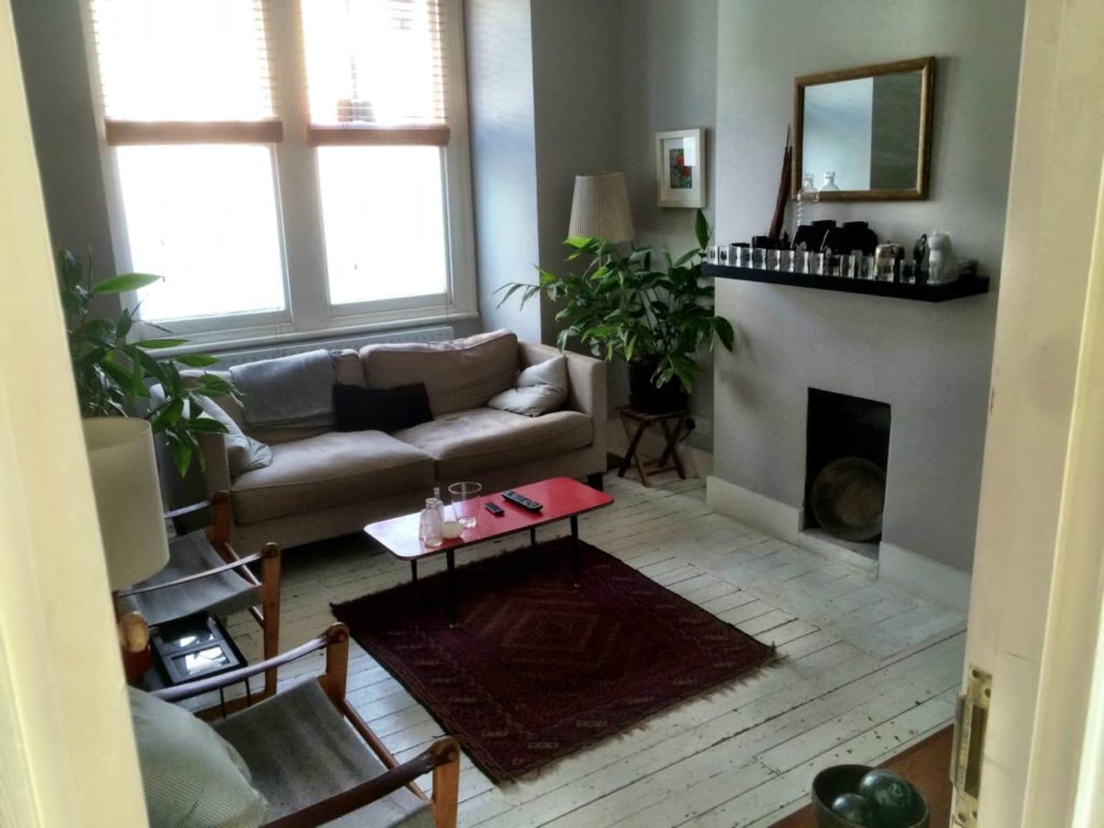 Housesitting assignment in Brixton, United Kingdom