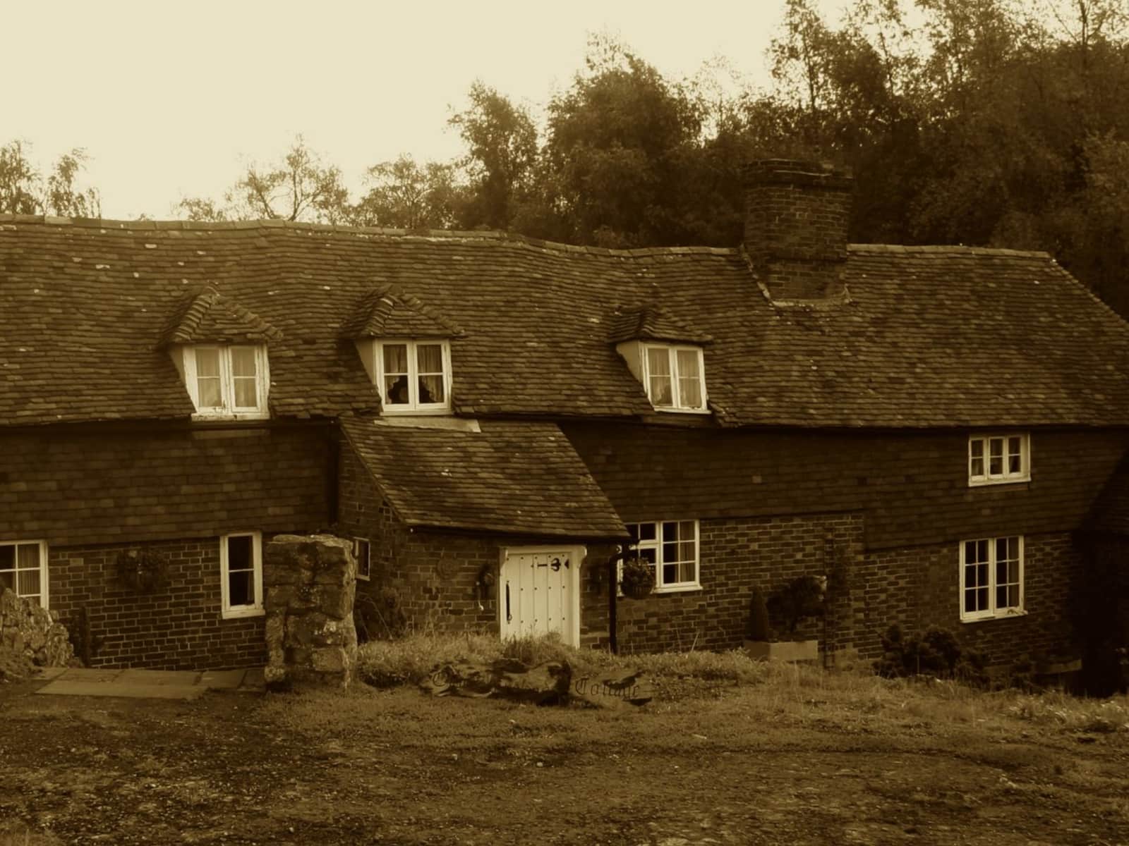 Housesitting assignment in Maidstone, United Kingdom