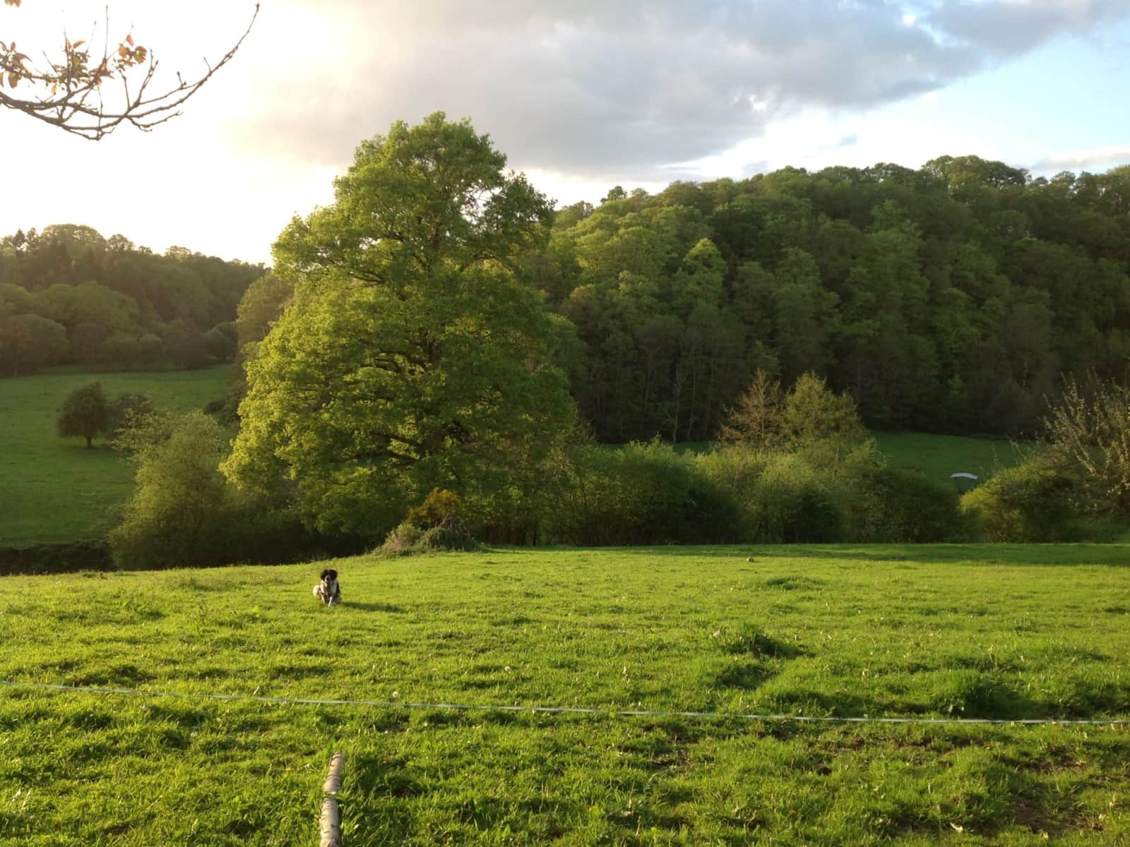 Housesitting assignment in Granville, France