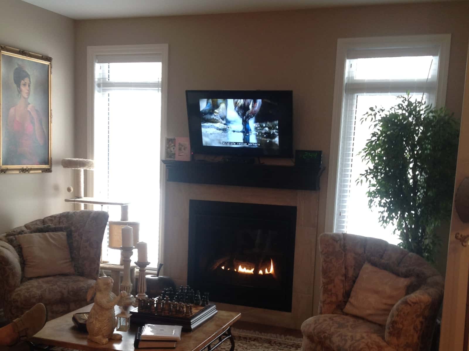 Housesitting assignment in Sylvan Lake, Alberta, Canada