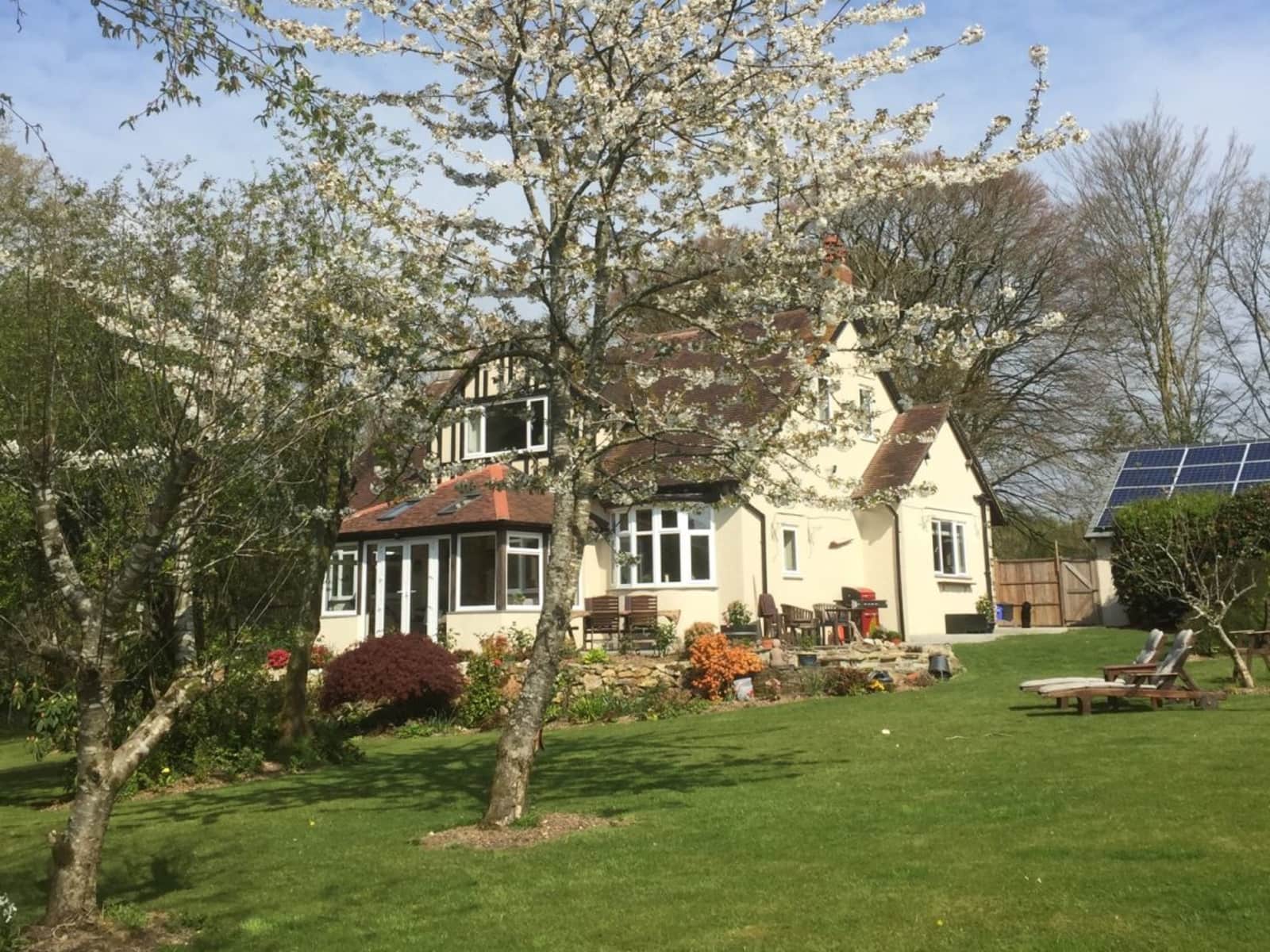 Housesitting assignment in Lostwithiel, United Kingdom