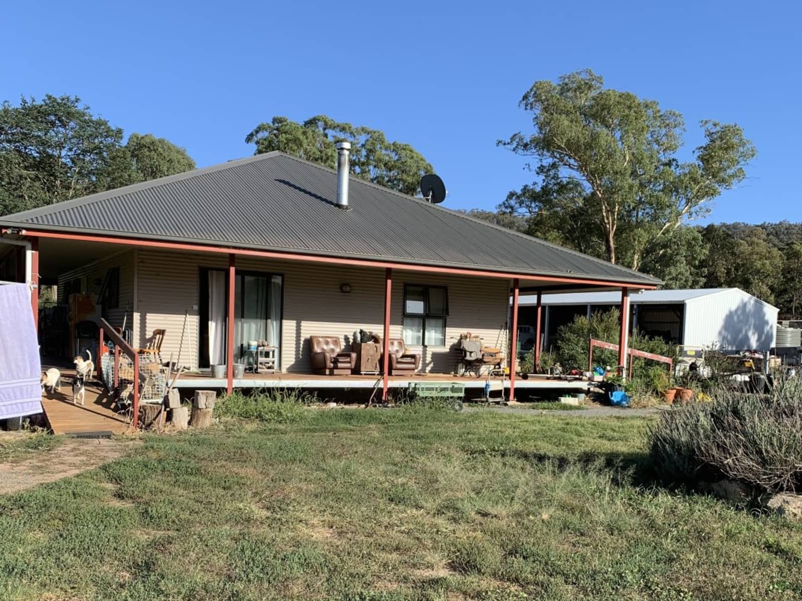 Housesitting assignment in Michelago, New South Wales, Australia