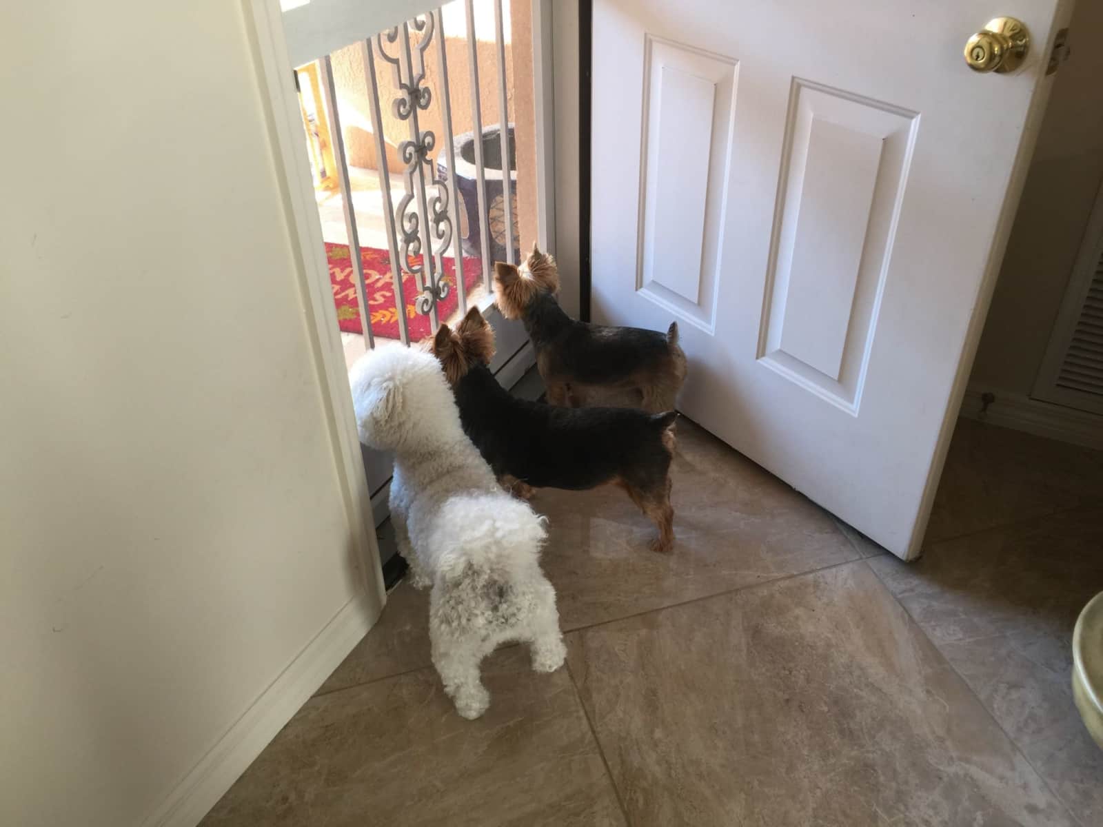 Patti from San Antonio, Texas, United States