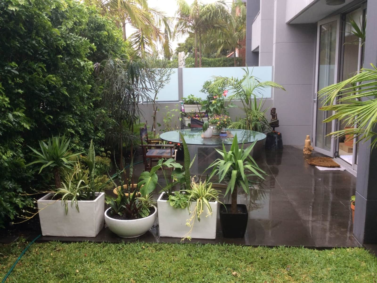 Housesitting assignment in Rose Bay, New South Wales, Australia