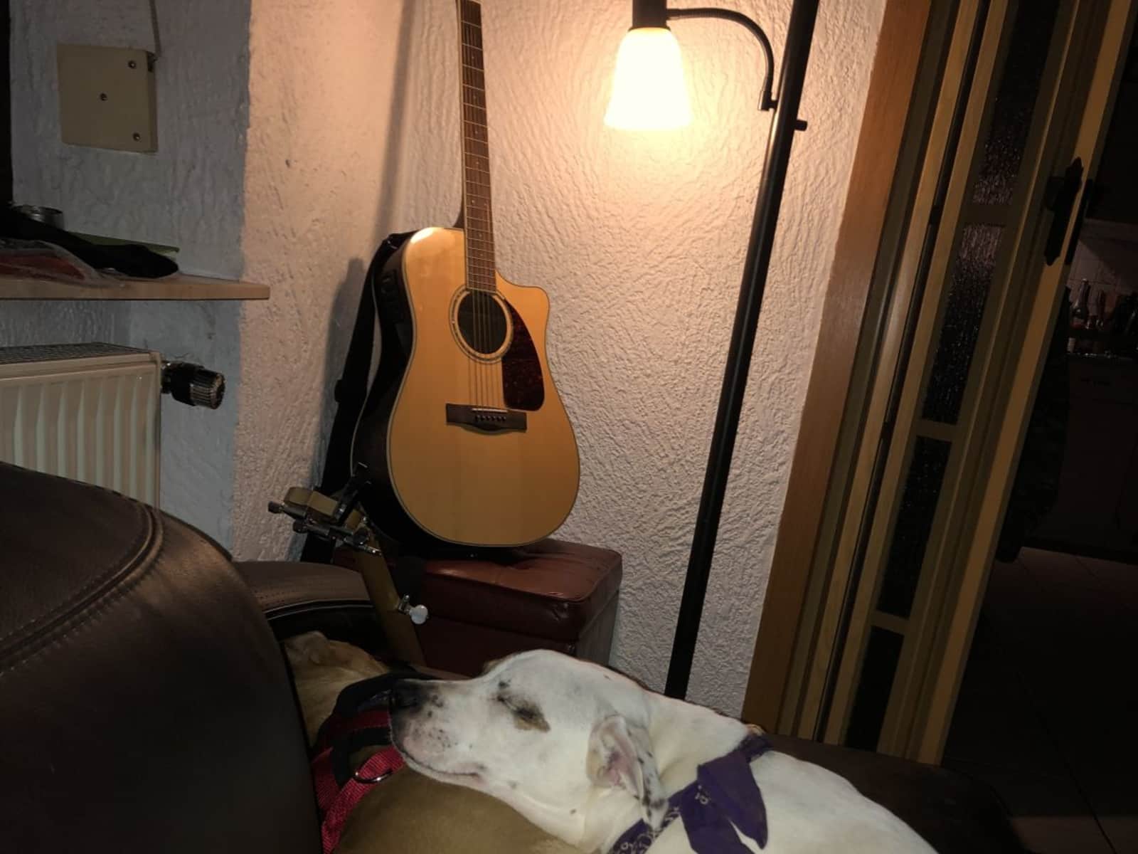 Housesitting assignment in Föckelberg, Germany
