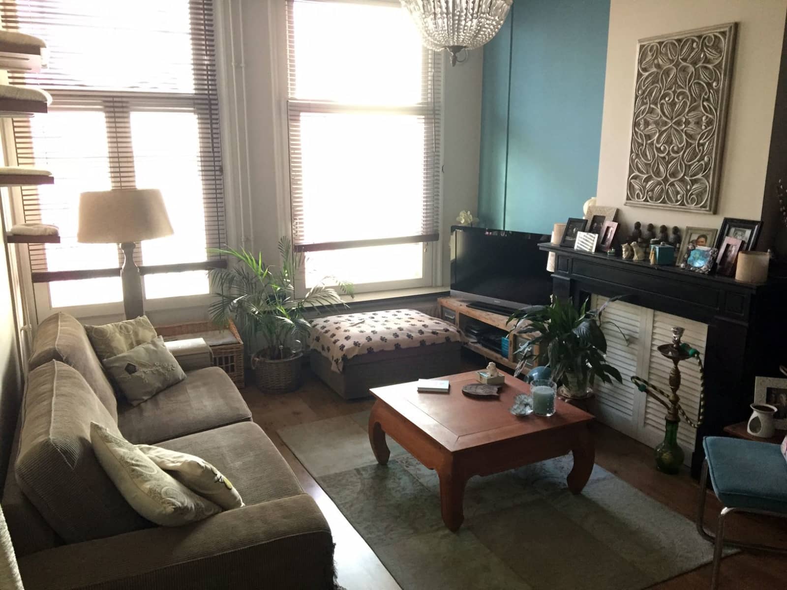 Housesitting assignment in Amsterdam, Netherlands