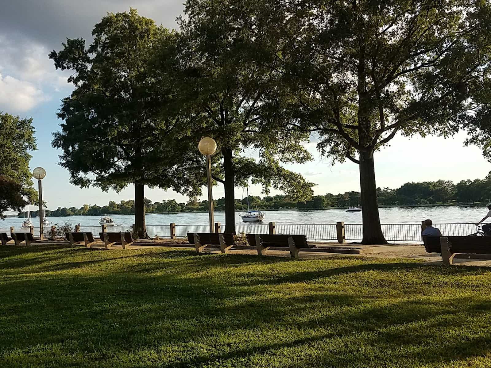 Housesitting assignment in Washington, D.C., Washington, D.C., United States