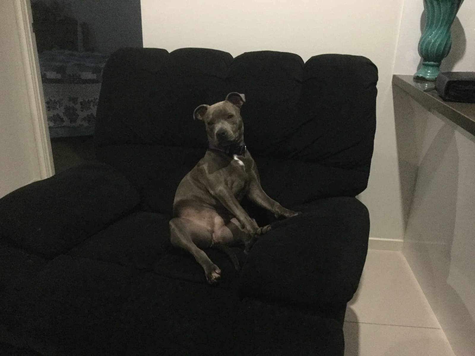Lesley from Gold Coast, Queensland, Australia
