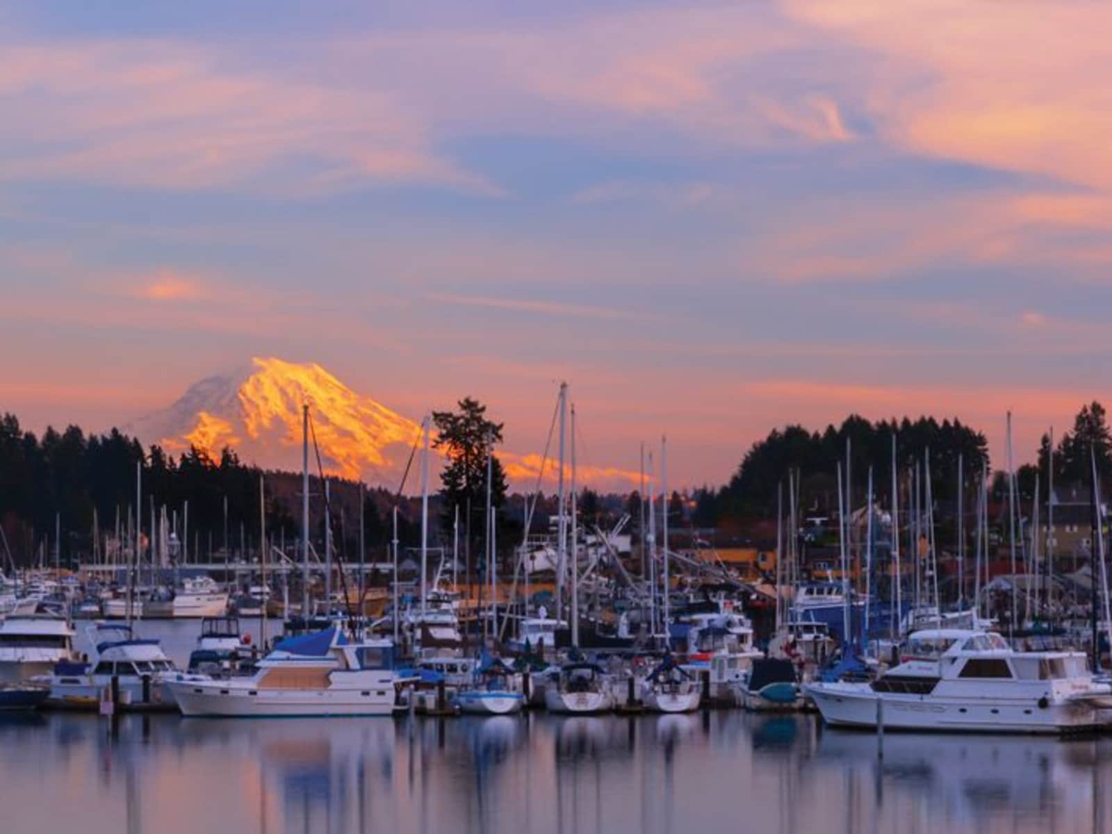 Housesitting assignment in Gig Harbor, Washington, United States