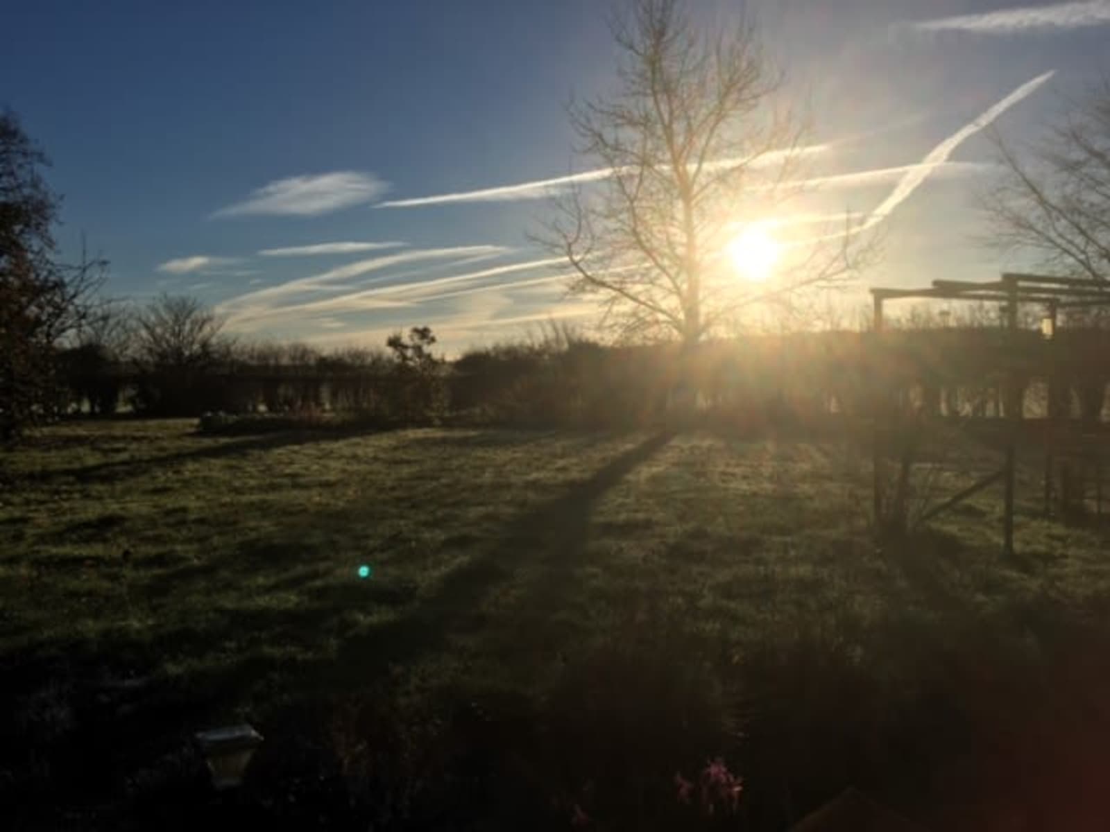 Housesitting assignment in Diss, United Kingdom