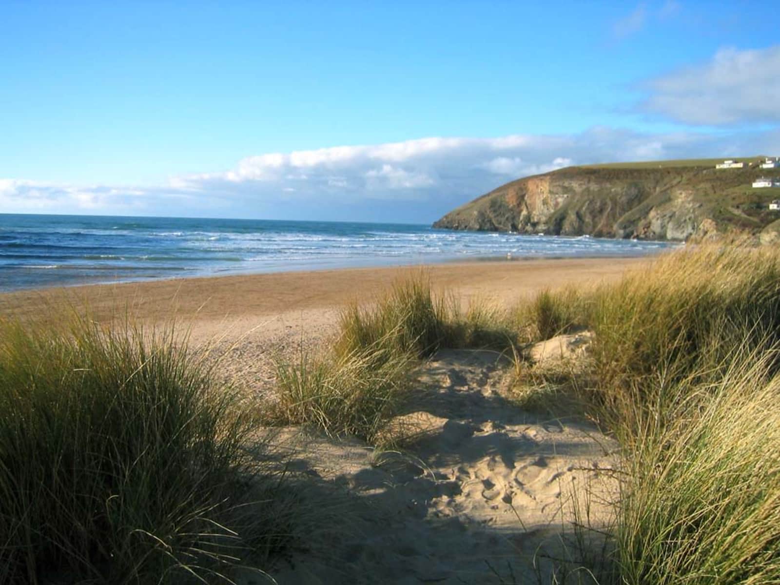 Housesitting assignment in Newquay, United Kingdom
