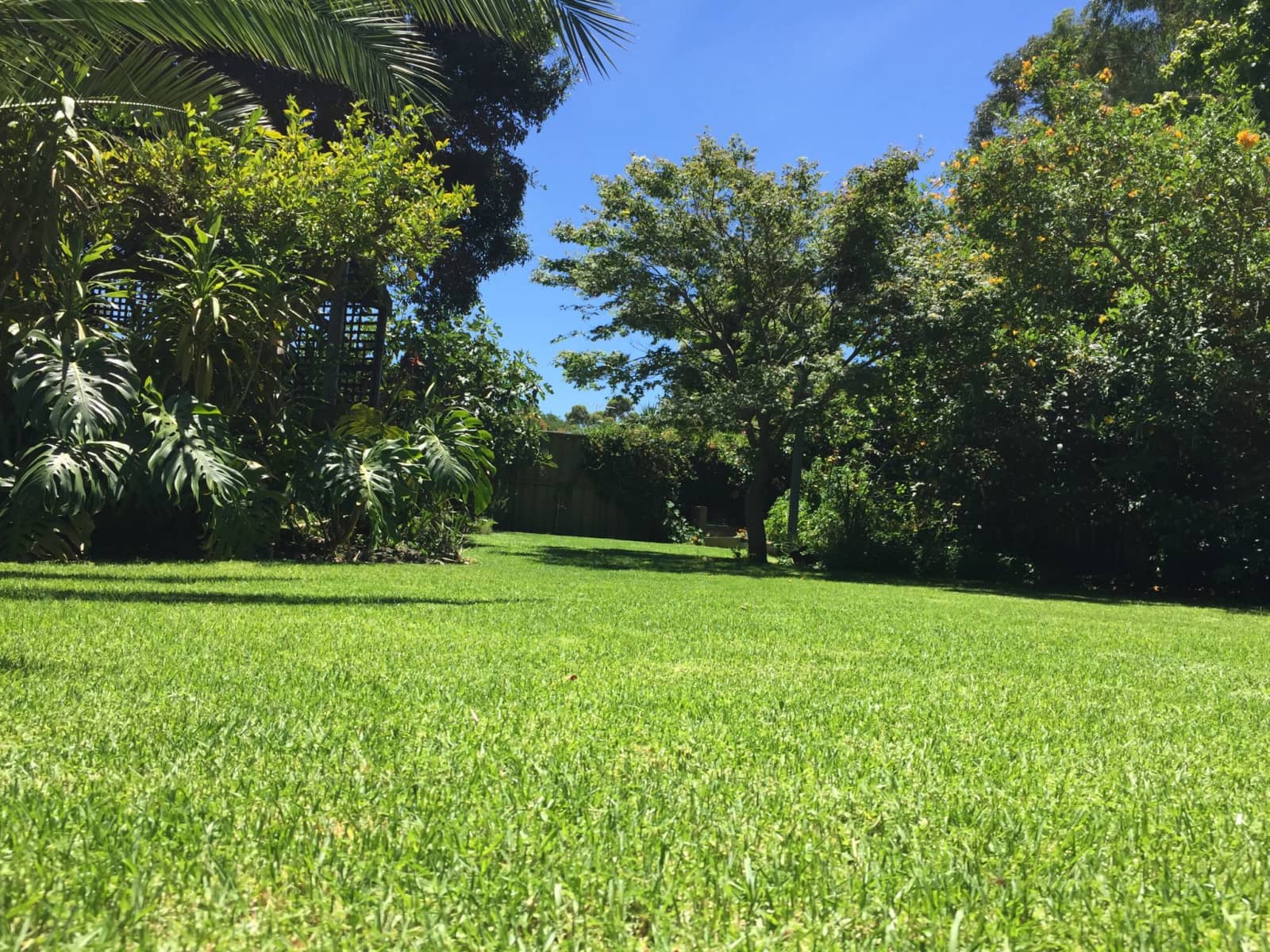 Housesitting assignment in Carnegie, Victoria, Australia