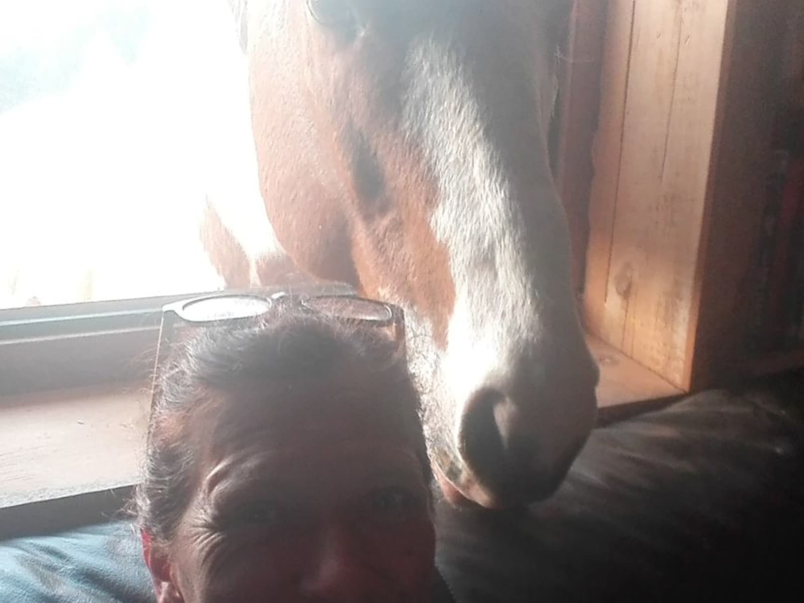 Sandra from Freistadt, Austria