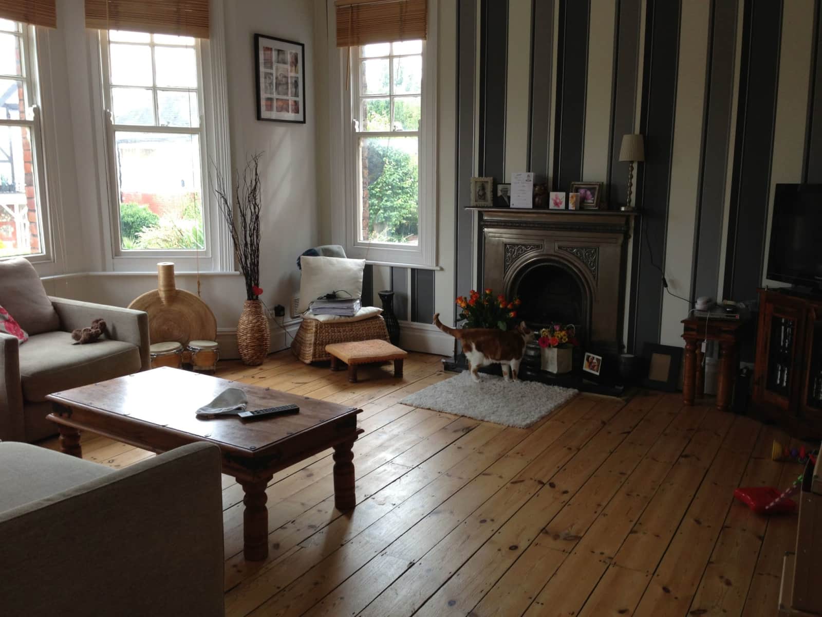 Housesitting assignment in Worthing, United Kingdom