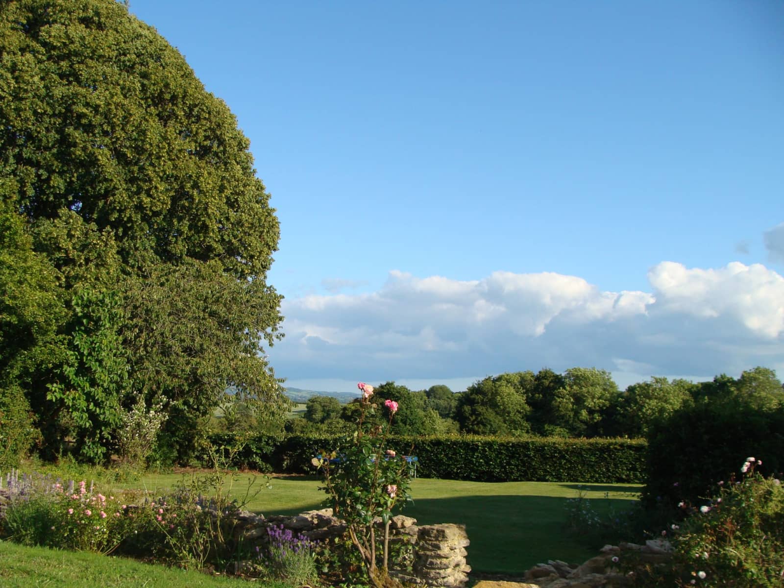 Housesitting assignment in Sherborne, United Kingdom