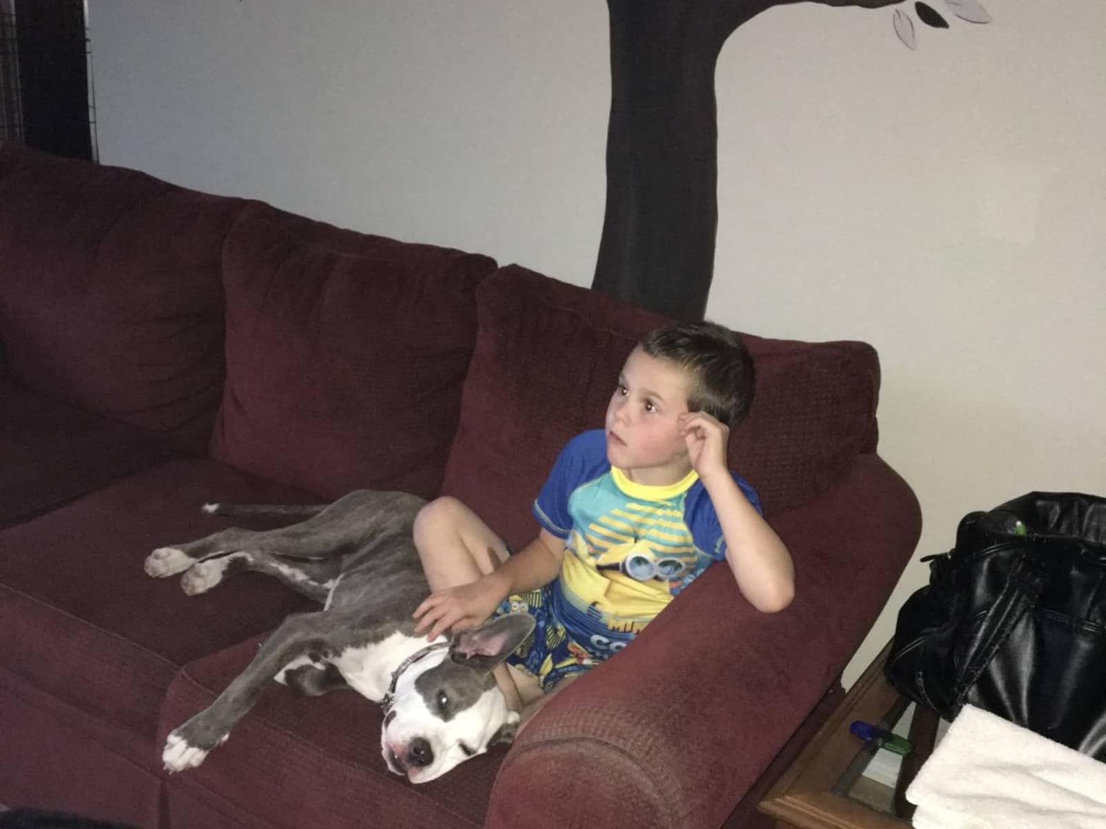 Housesitting assignment in Calgary, Alberta, Canada