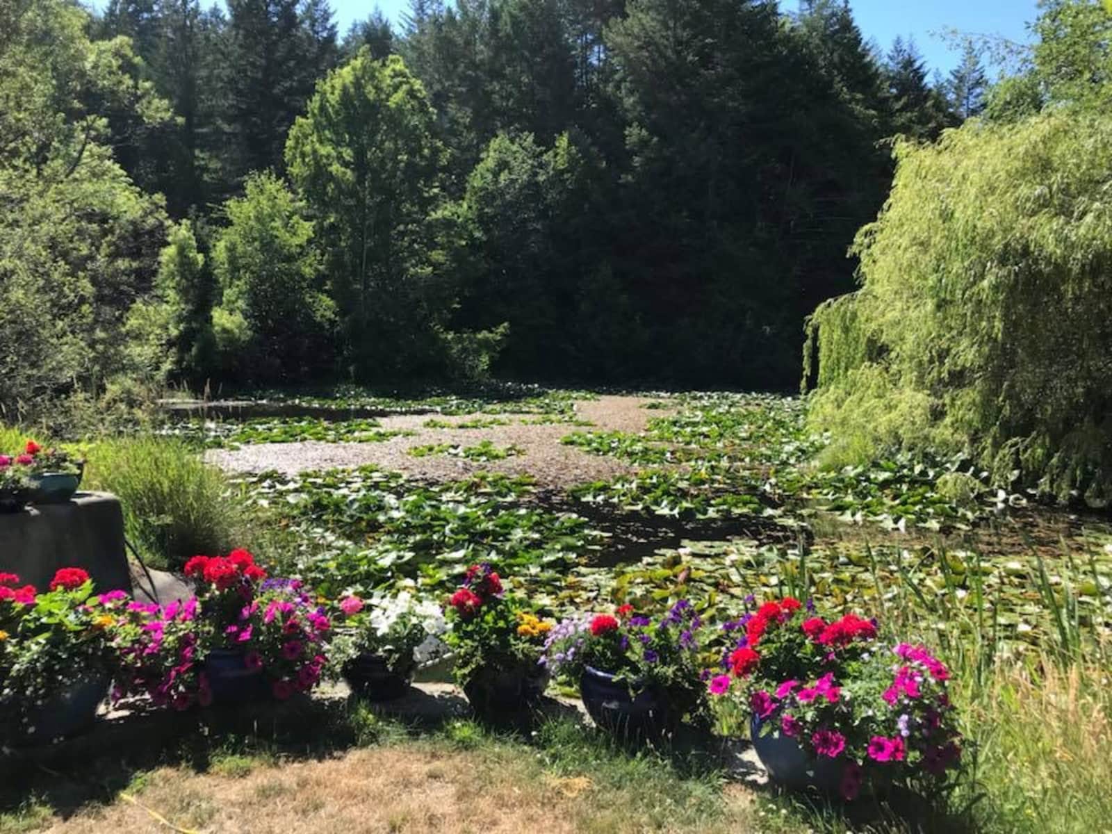 Housesitting assignment in Metchosin, British Columbia, Canada