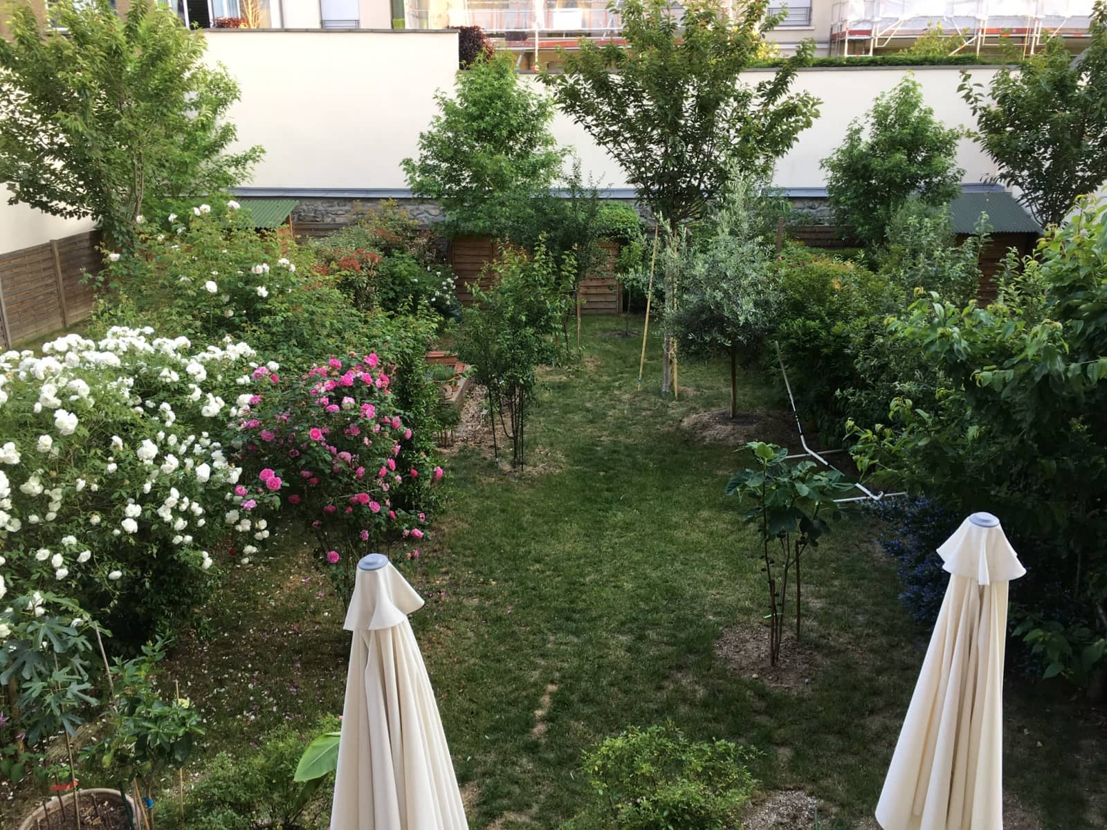 Housesitting assignment in Paris, France