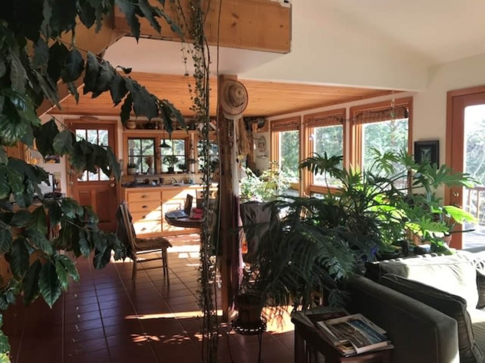 Housesitting assignment in Nederland, Colorado, United States