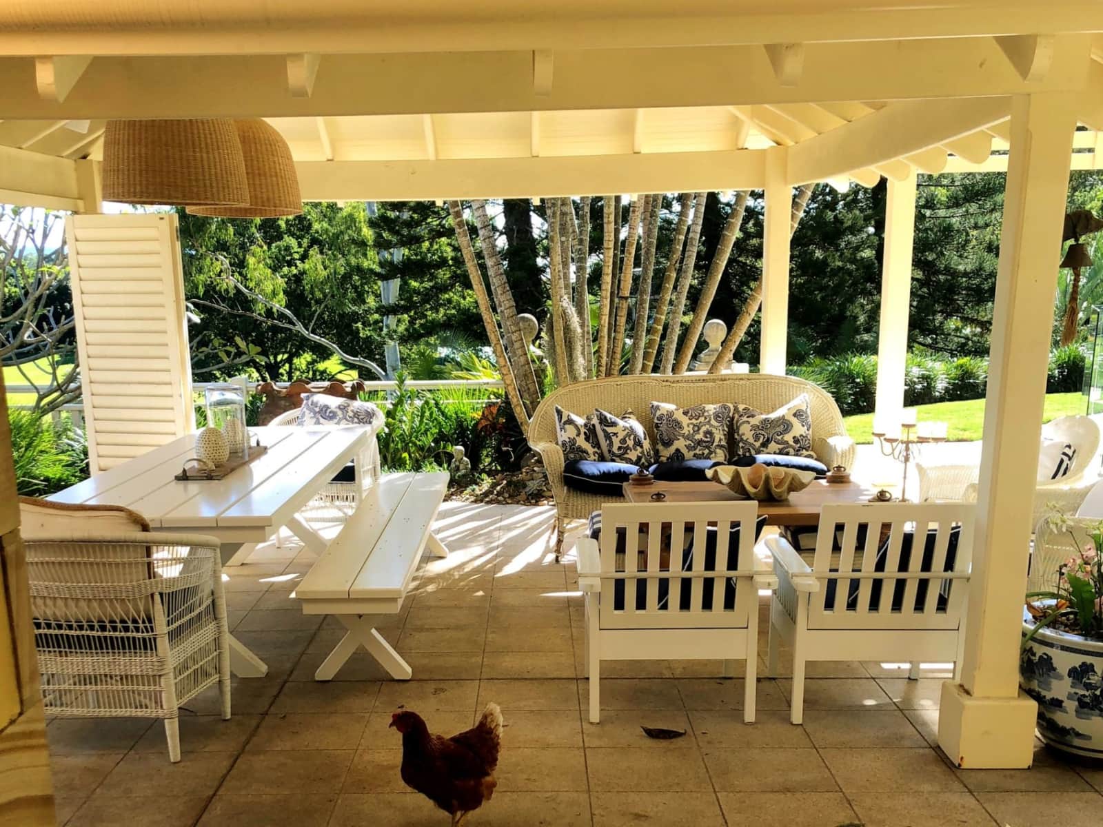 Housesitting assignment in Benowa, Queensland, Australia