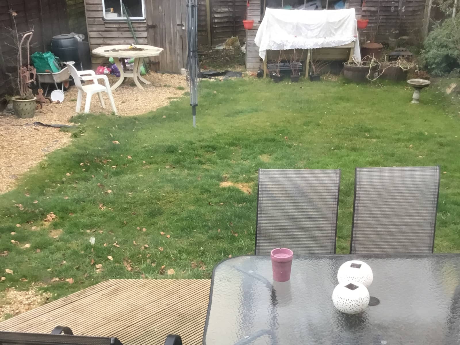 Housesitting assignment in Basingstoke, United Kingdom