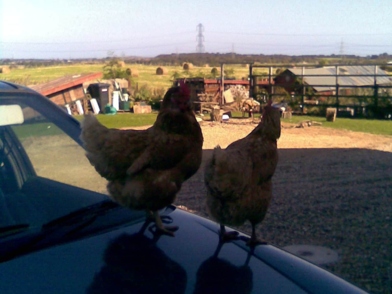 Pauline & Bill from Durham, United Kingdom