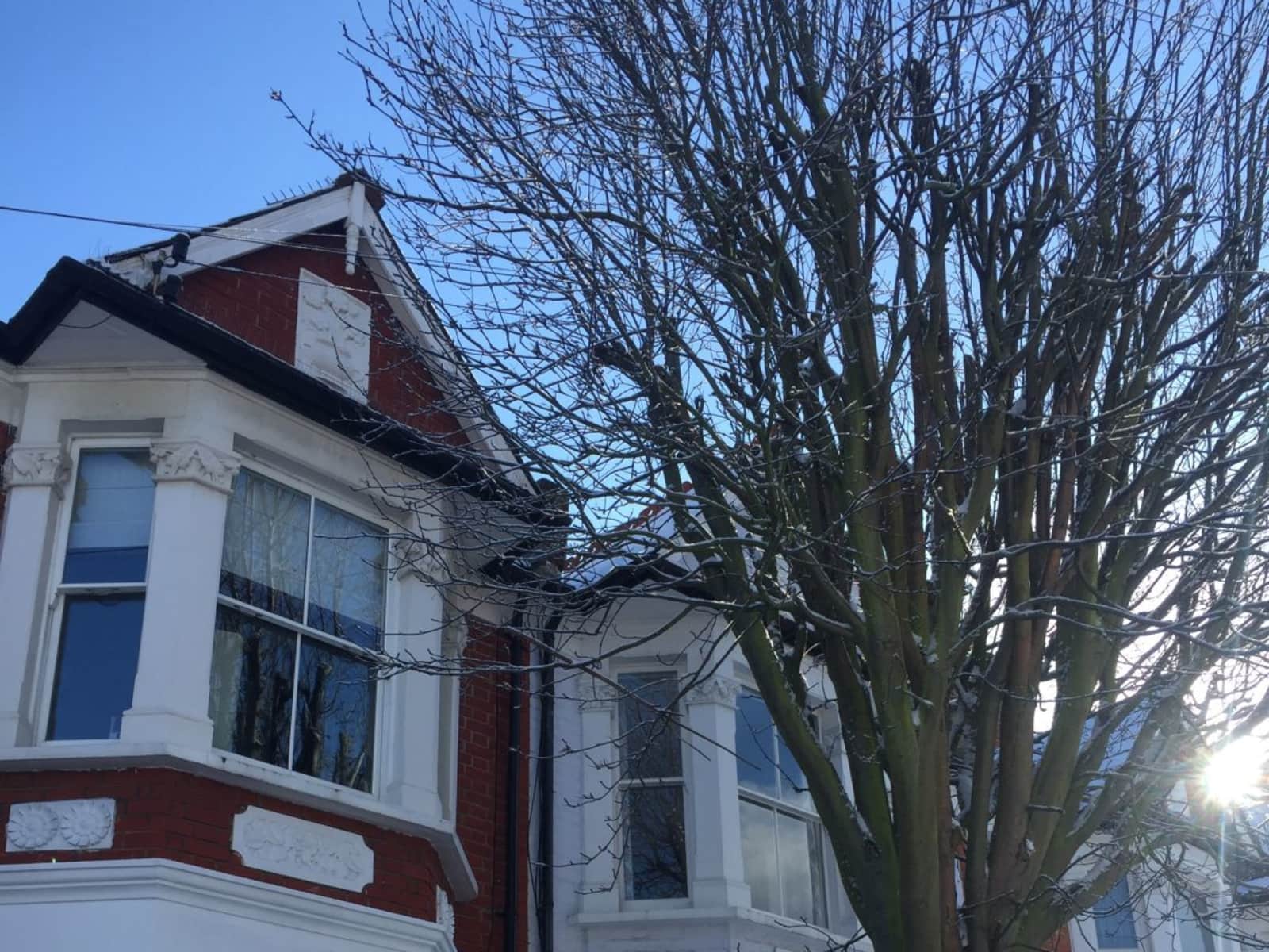 Housesitting assignment in Fulham, United Kingdom