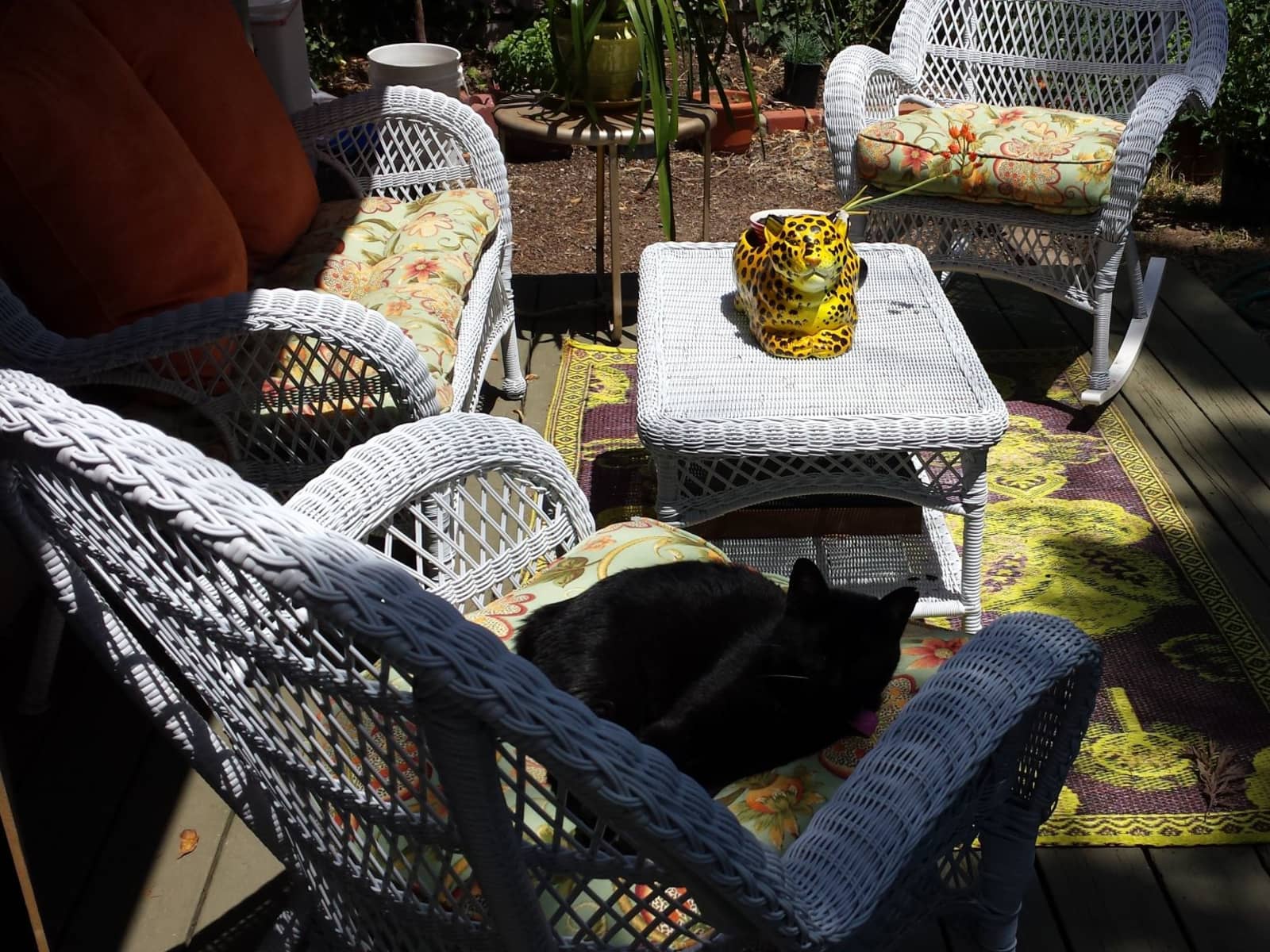 Housesitting assignment in San Rafael, California, United States