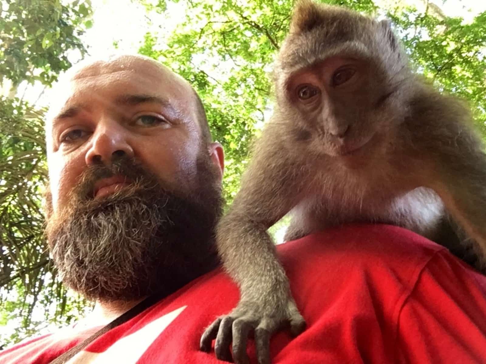 Tim from London, United Kingdom