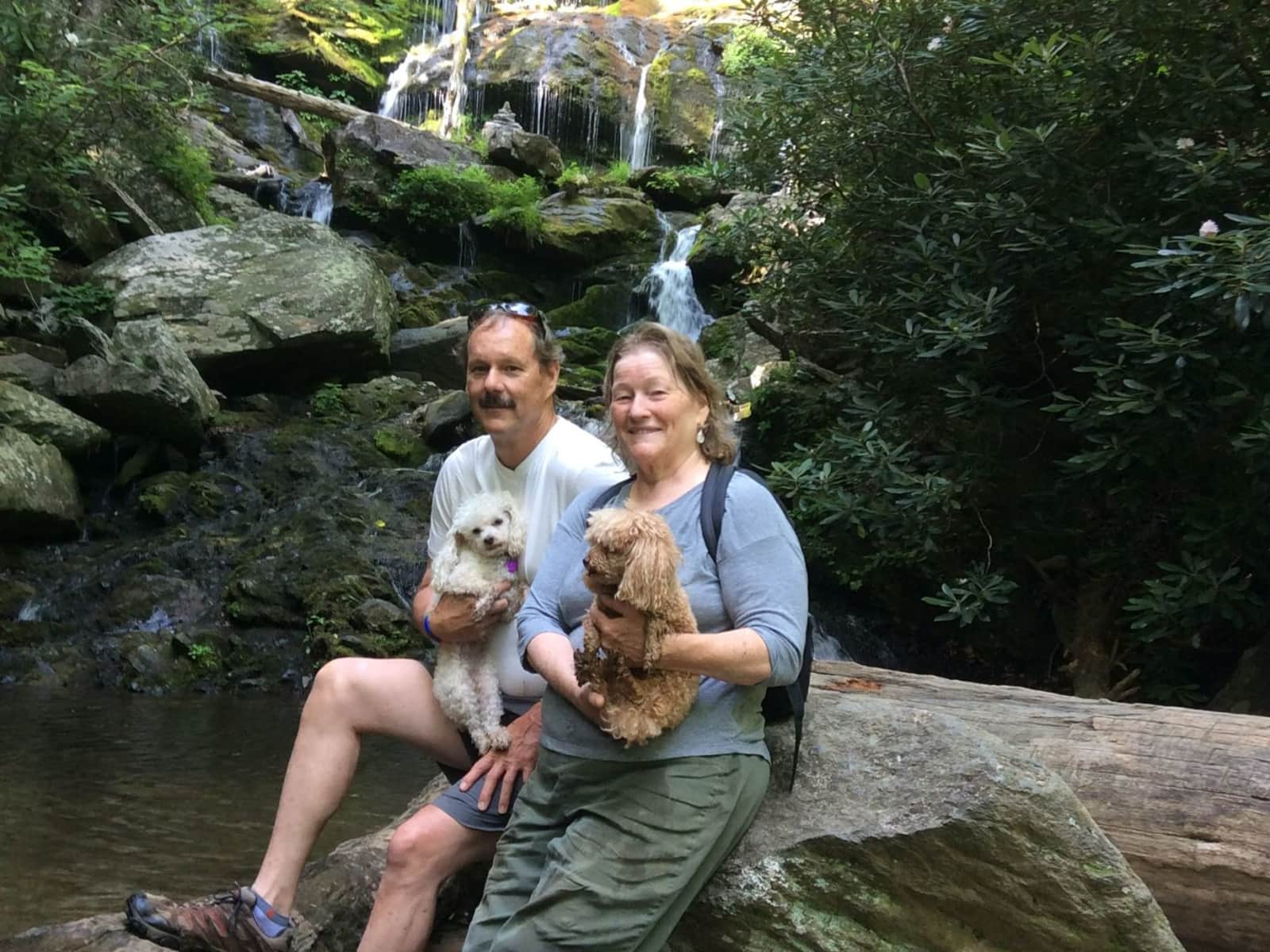 Housesitting assignment in Asheville, North Carolina, United States