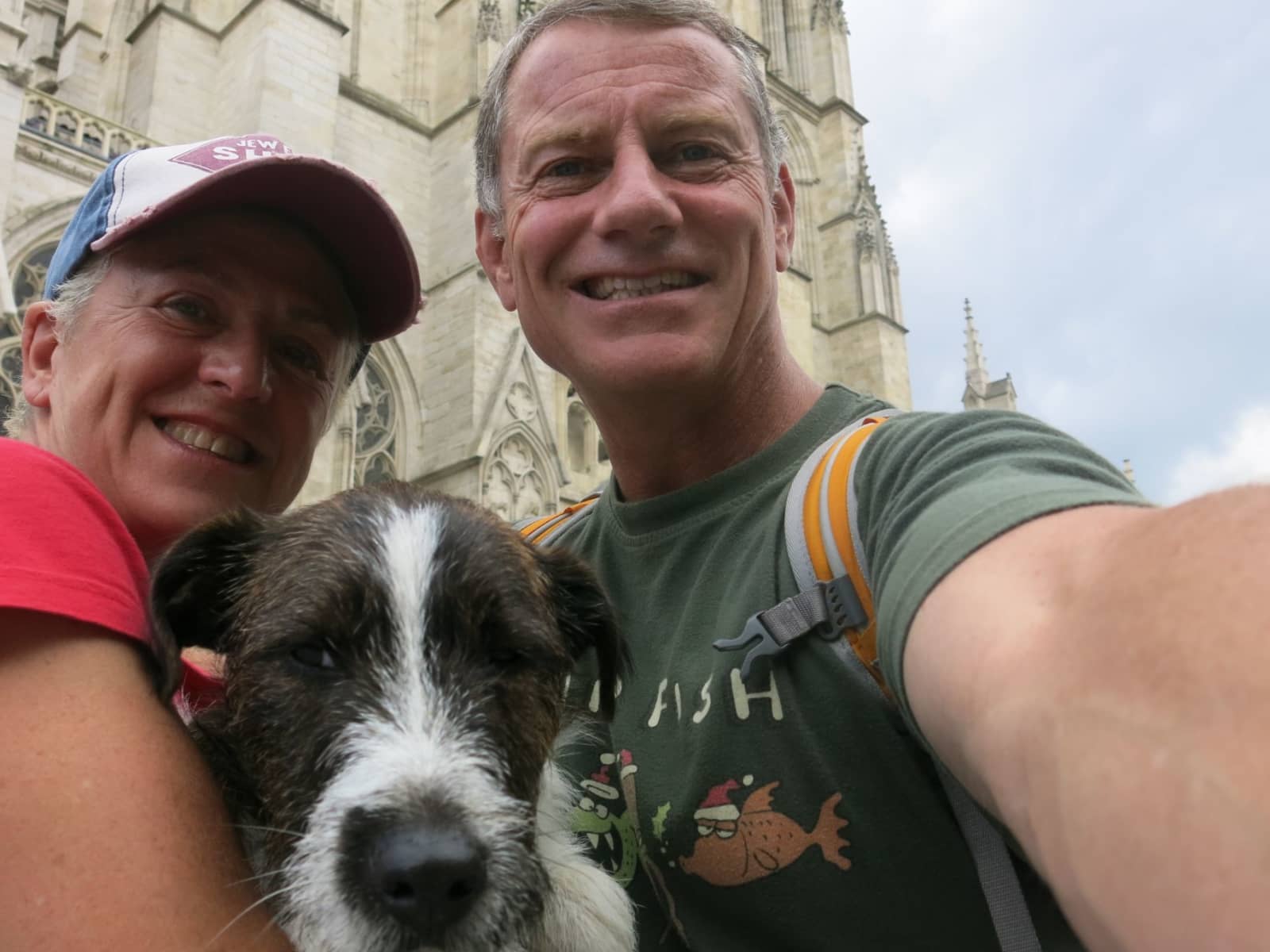 Housesitting assignment in Bushey Heath, United Kingdom