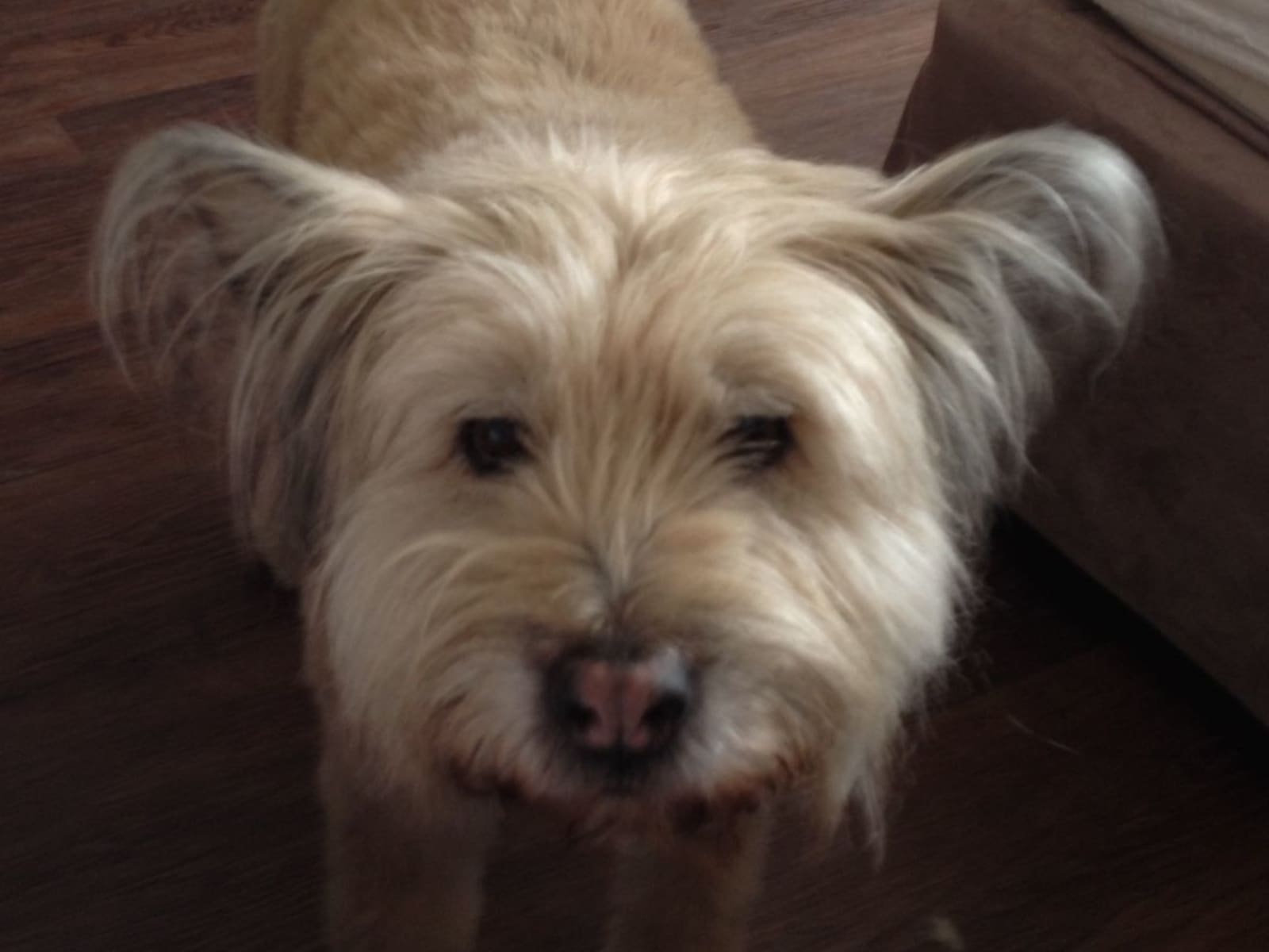 Tonya from Victoria, British Columbia, Canada