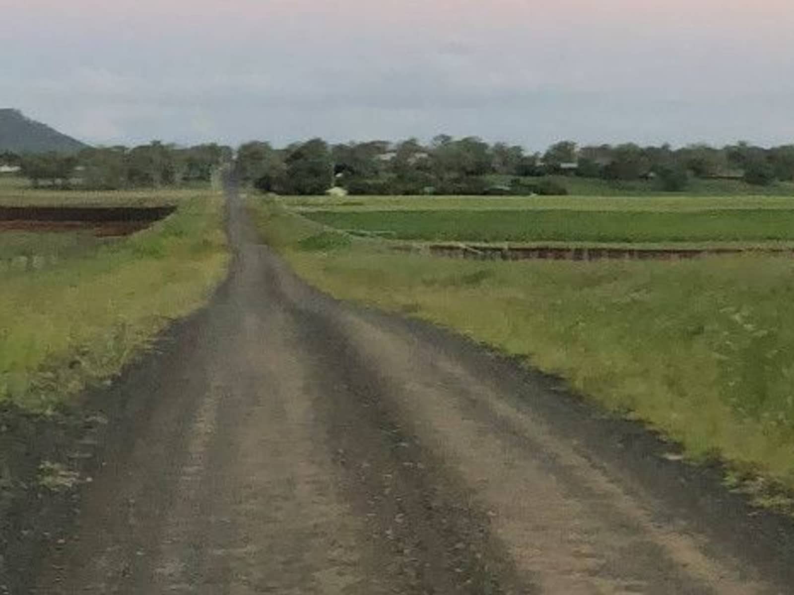 Housesitting assignment in Oakey, Queensland, Australia