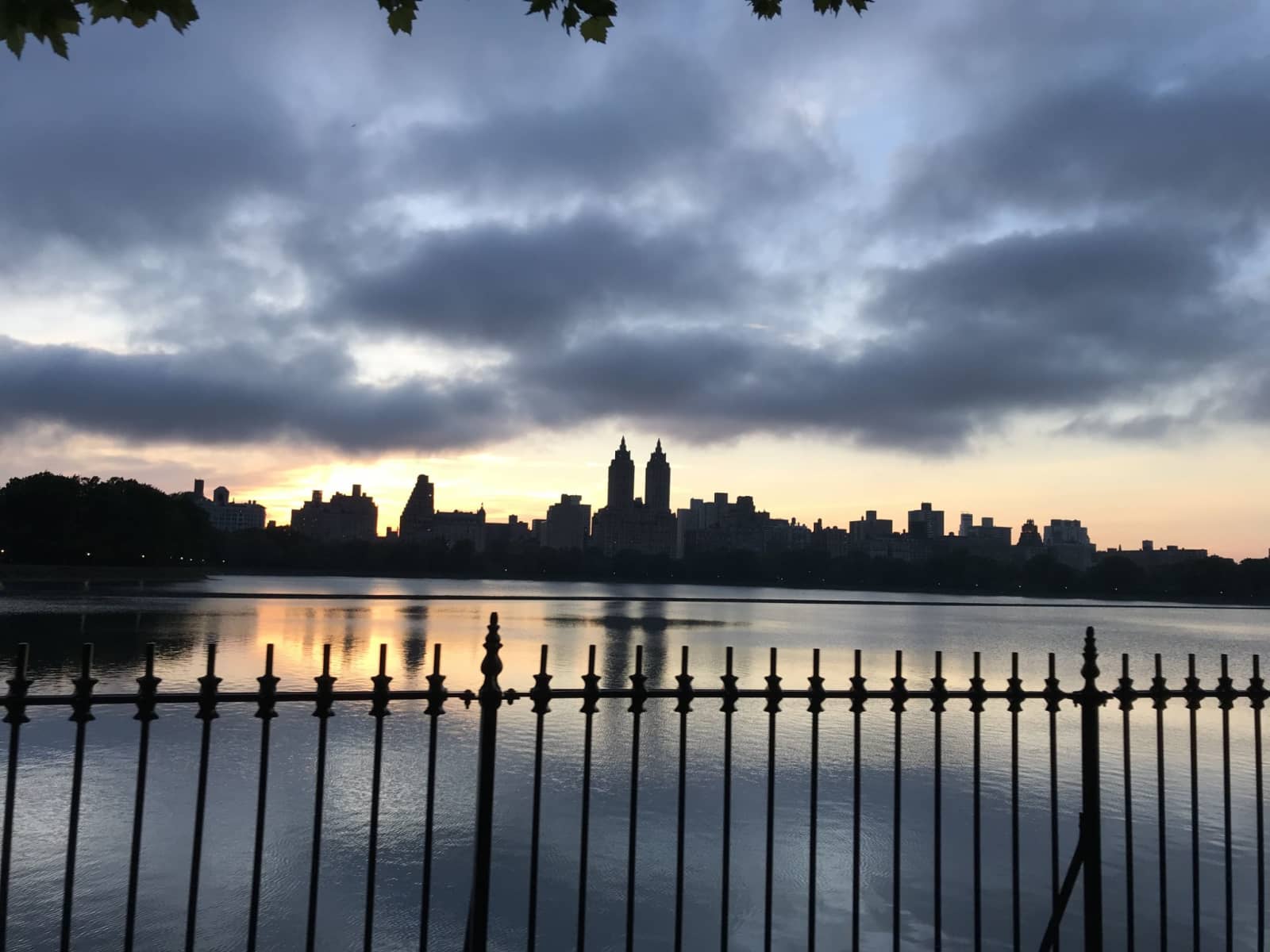 Housesitting assignment in New York City, New York, United States