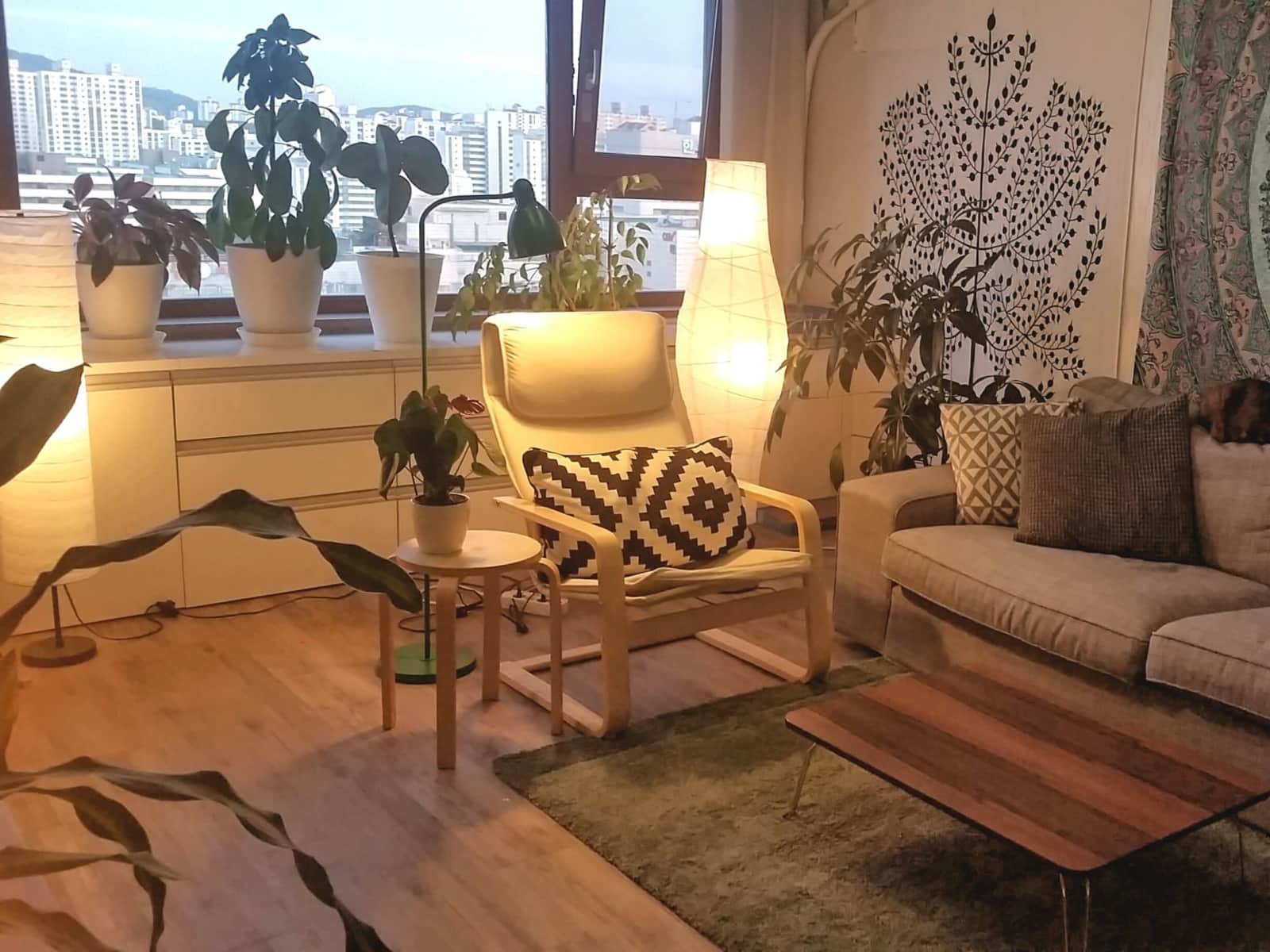 Housesitting assignment in Pyeongchon, South Korea