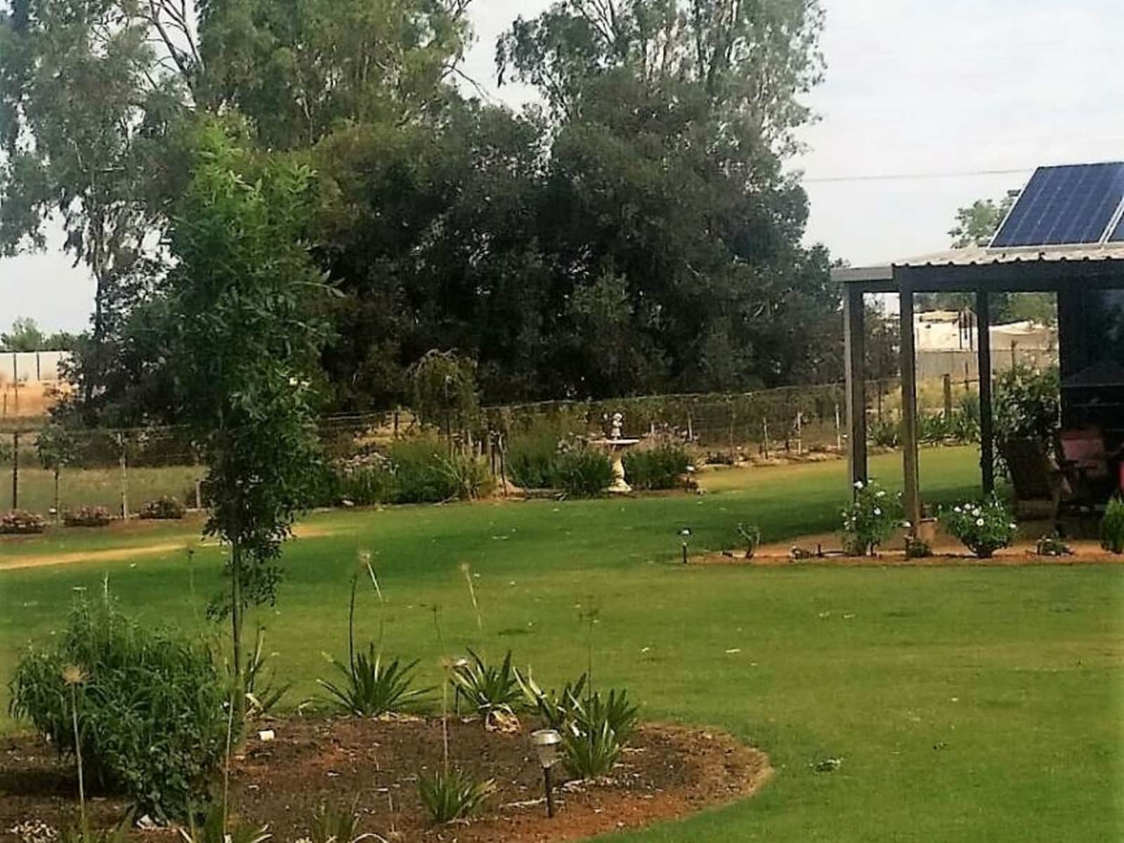 Housesitting assignment in Mildura, Victoria, Australia