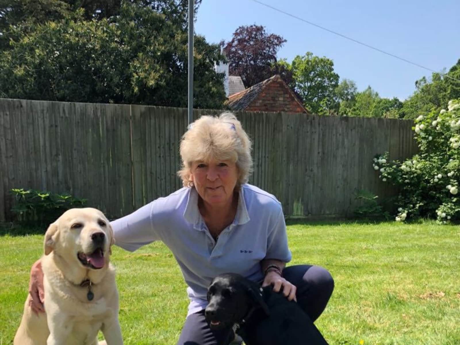 Housesitting assignment in Haywards Heath, United Kingdom
