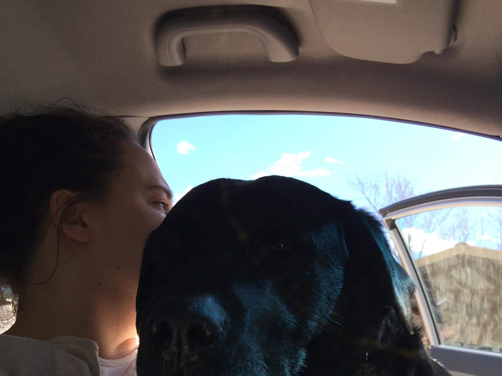 Alicen from Willow Springs, Missouri, United States