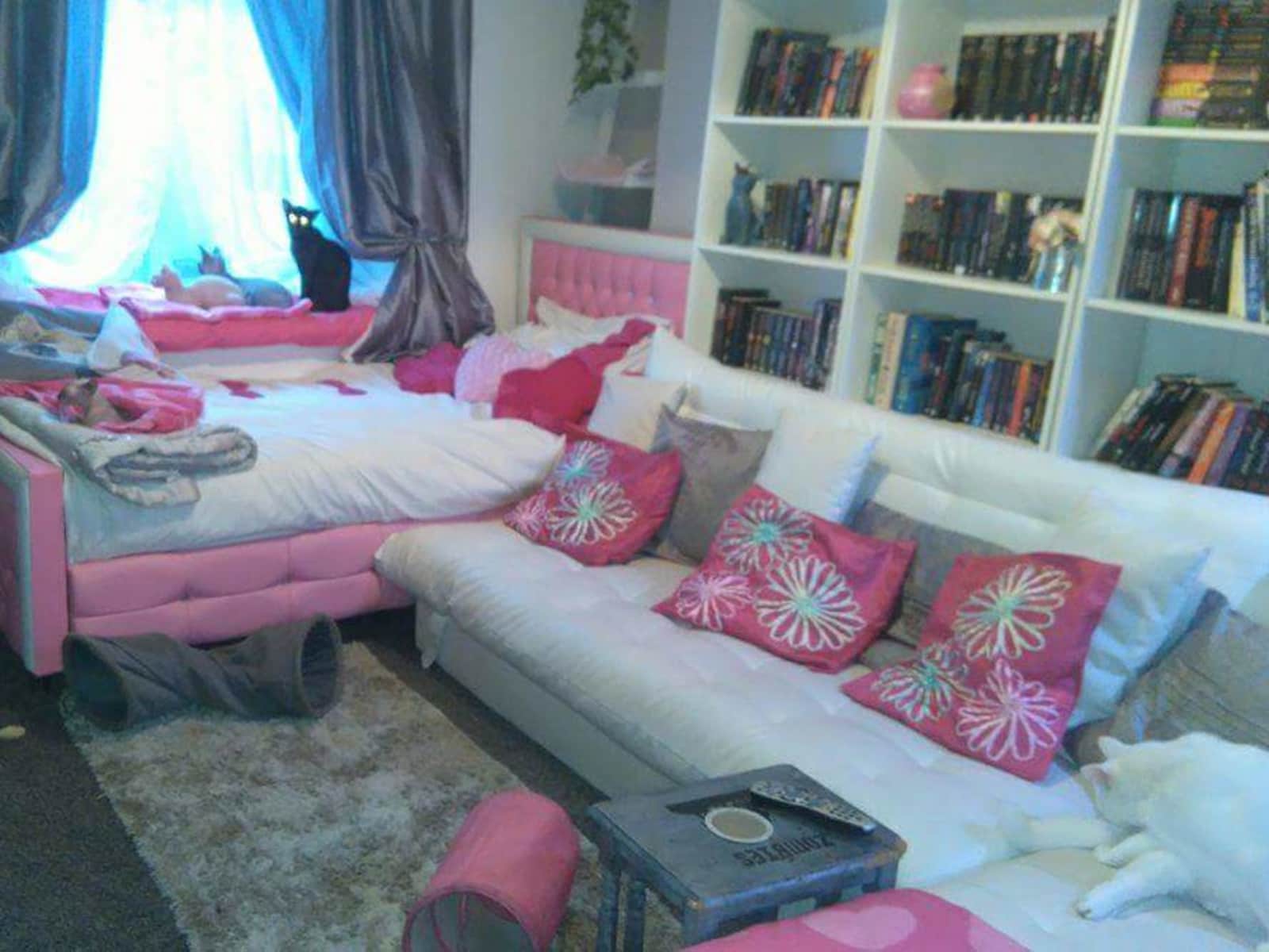 Housesitting assignment in Abercynon, United Kingdom