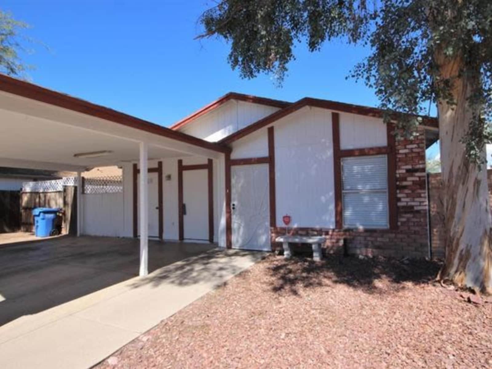 Housesitting assignment in Tucson, Arizona, United States