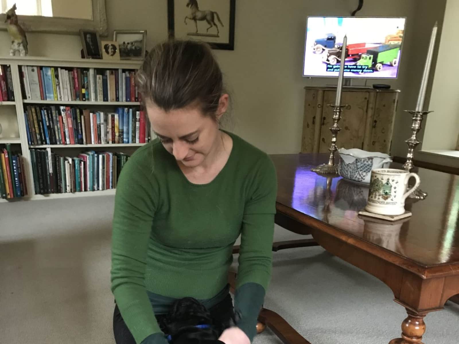 Housesitting assignment in Bradford-on-Avon, United Kingdom