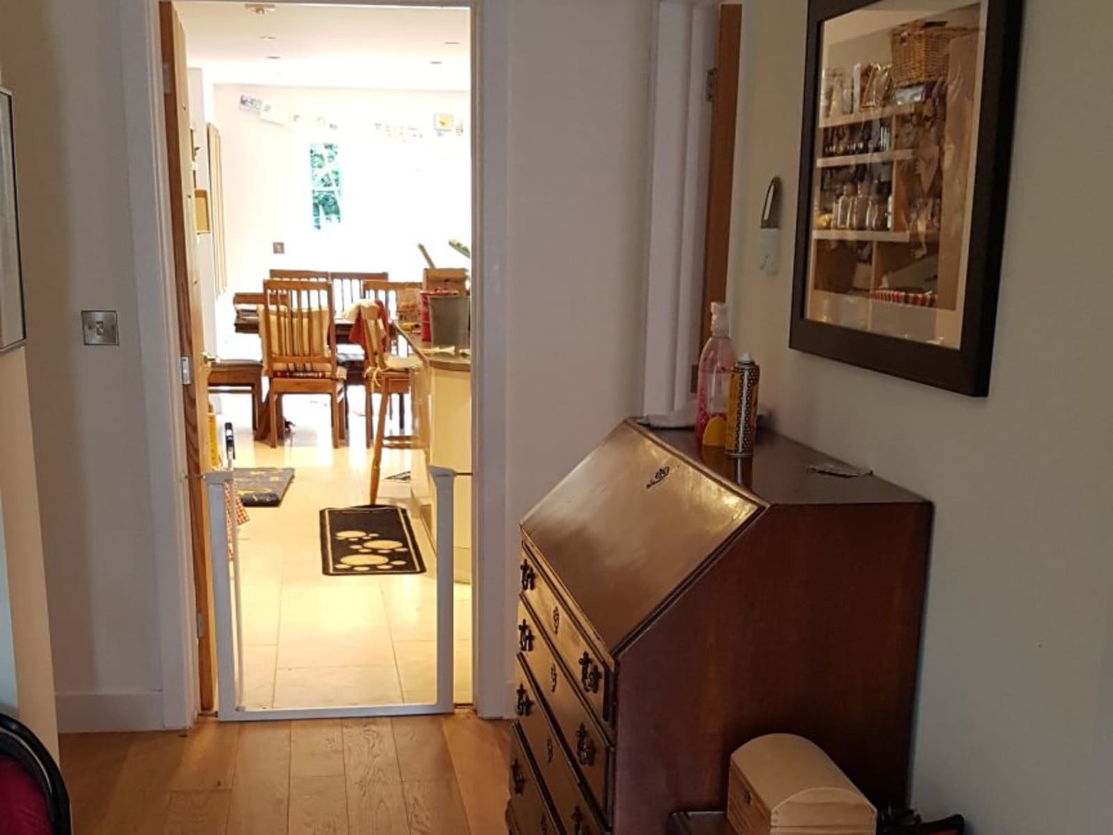 Housesitting assignment in Romsey, United Kingdom