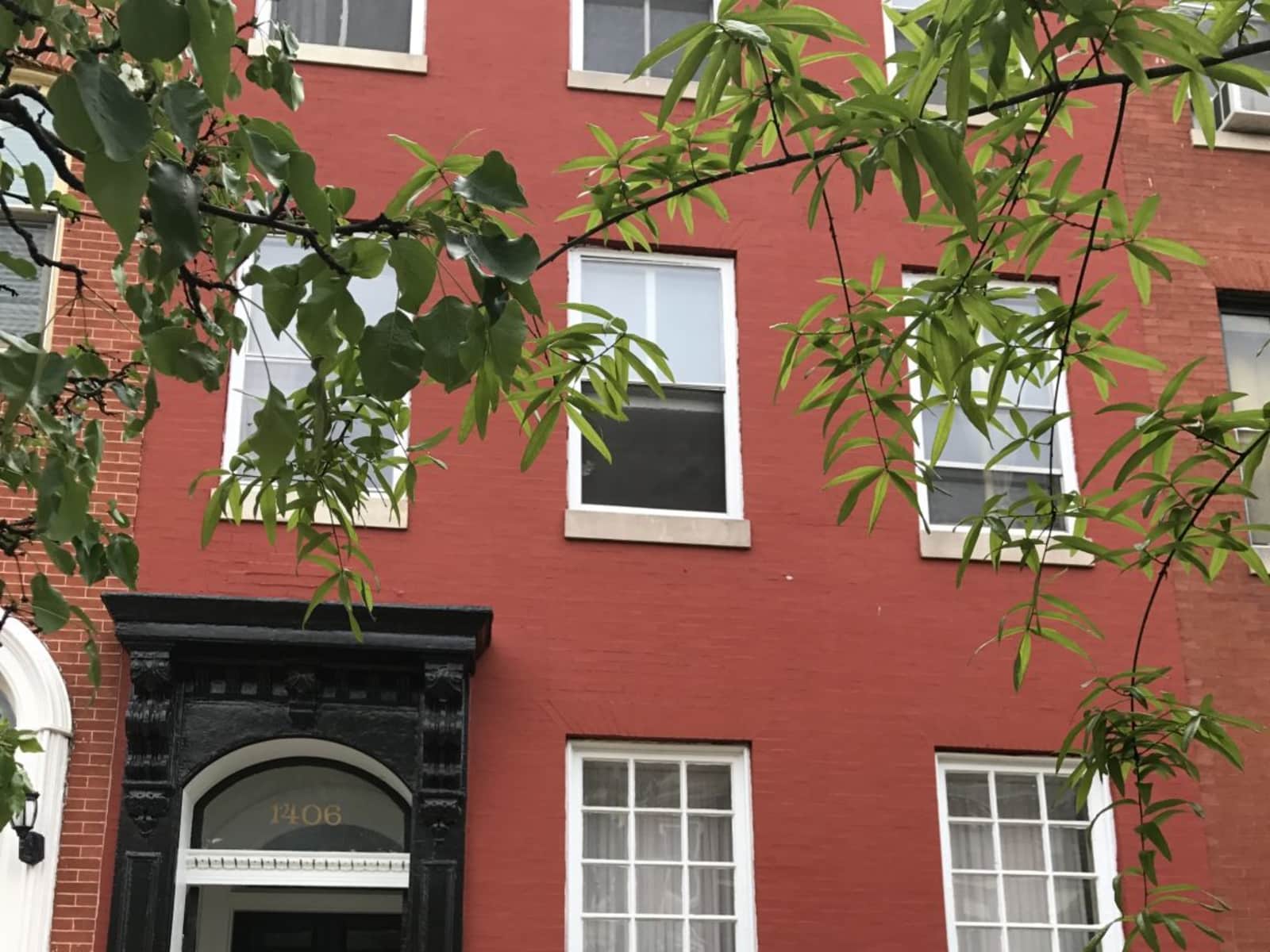 Housesitting assignment in Baltimore, Maryland, United States
