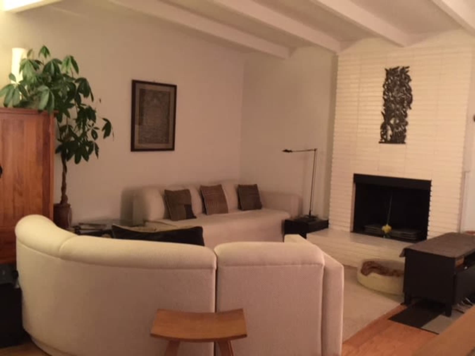 Housesitting assignment in Mill Valley, California, United States